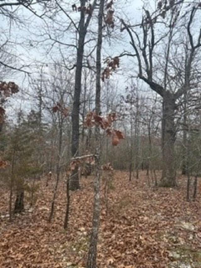 Lot 14 Buckhead Lane  Mountain Home, AR