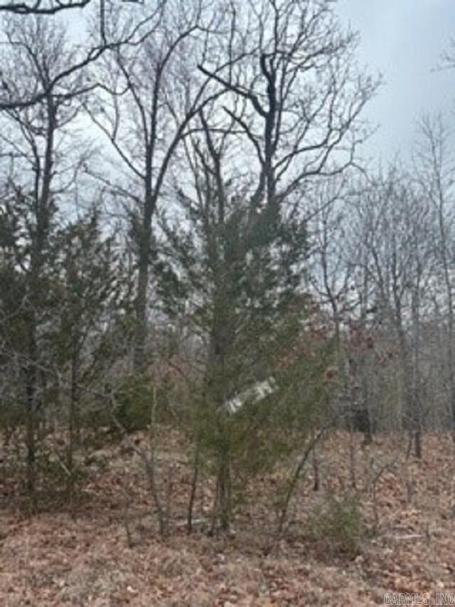 Lot 14 Buckhead Lane  Mountain Home, AR