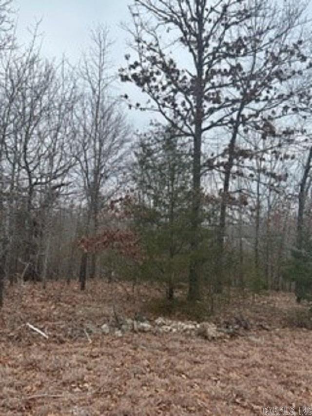Lot 15 Buckhead Lane  Mountain Home, AR