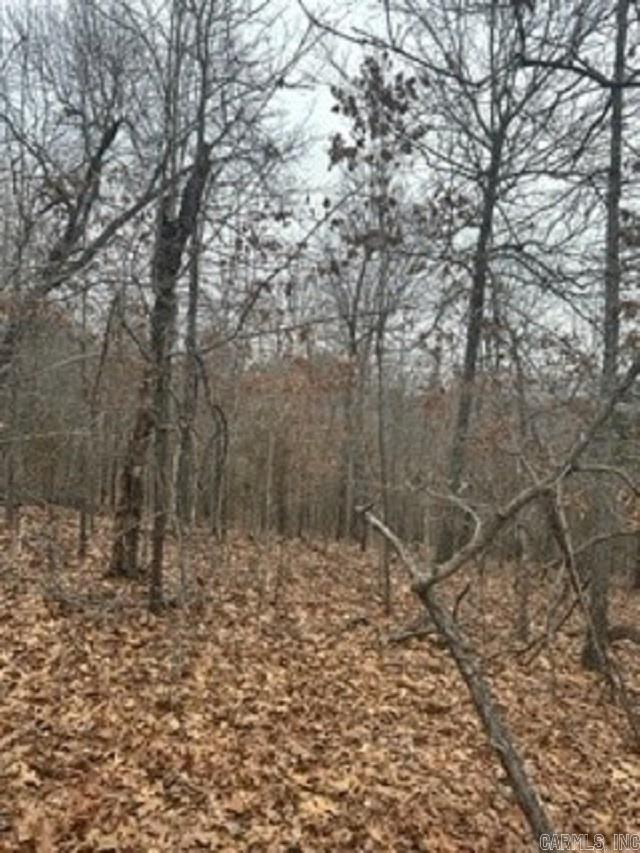 Lot 15 Buckhead Lane  Mountain Home, AR