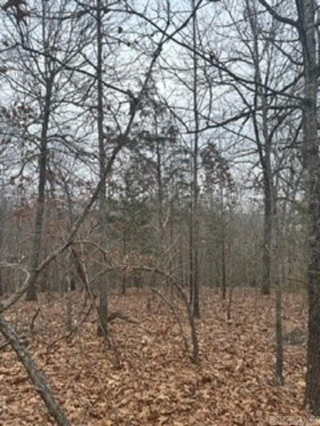 Lot 15 Buckhead Lane  Mountain Home, AR