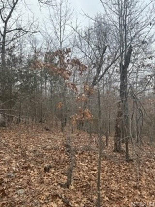 Lot 15 Buckhead Lane  Mountain Home, AR