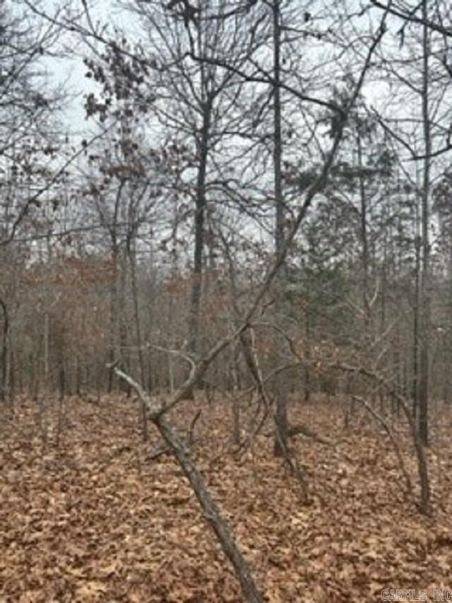 Lot 14 & 15 Buckhead Lane  Mountain Home, AR