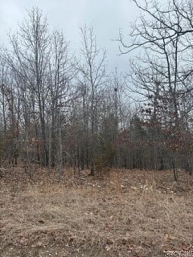 Lot 14 & 15 Buckhead Lane  Mountain Home, AR