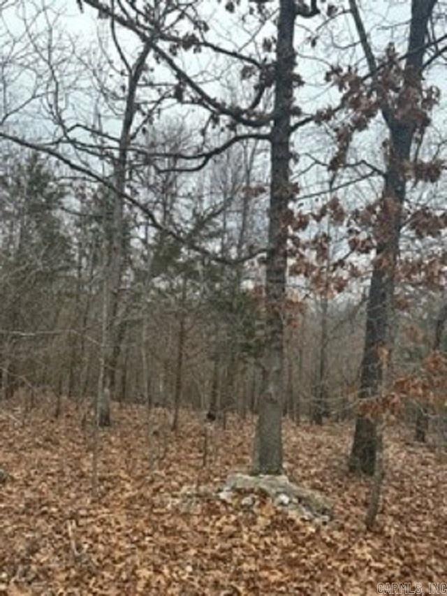 Lot 14 & 15 Buckhead Lane  Mountain Home, AR