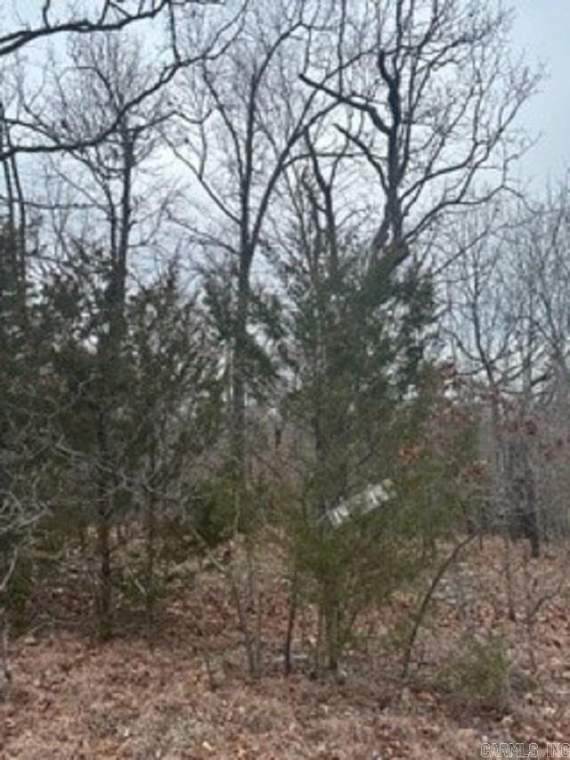 Lot 14 & 15 Buckhead Lane  Mountain Home, AR