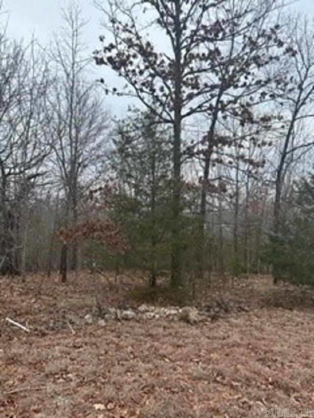 Lot 14 & 15 Buckhead Lane  Mountain Home, AR
