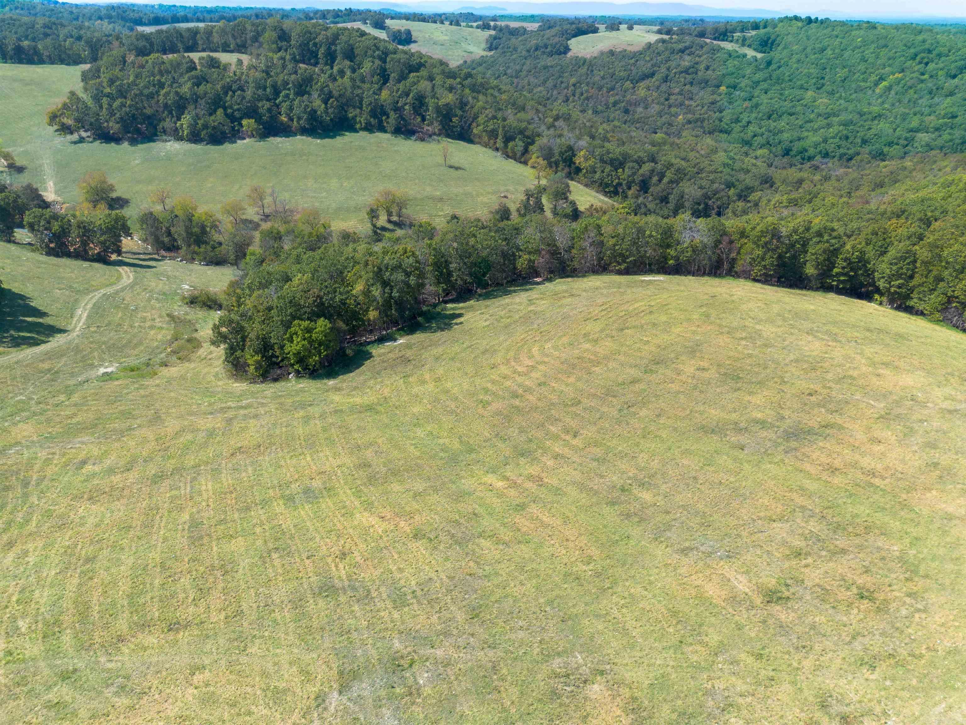 79.50 ac. (+/-) Crochet Road  Marshall, AR