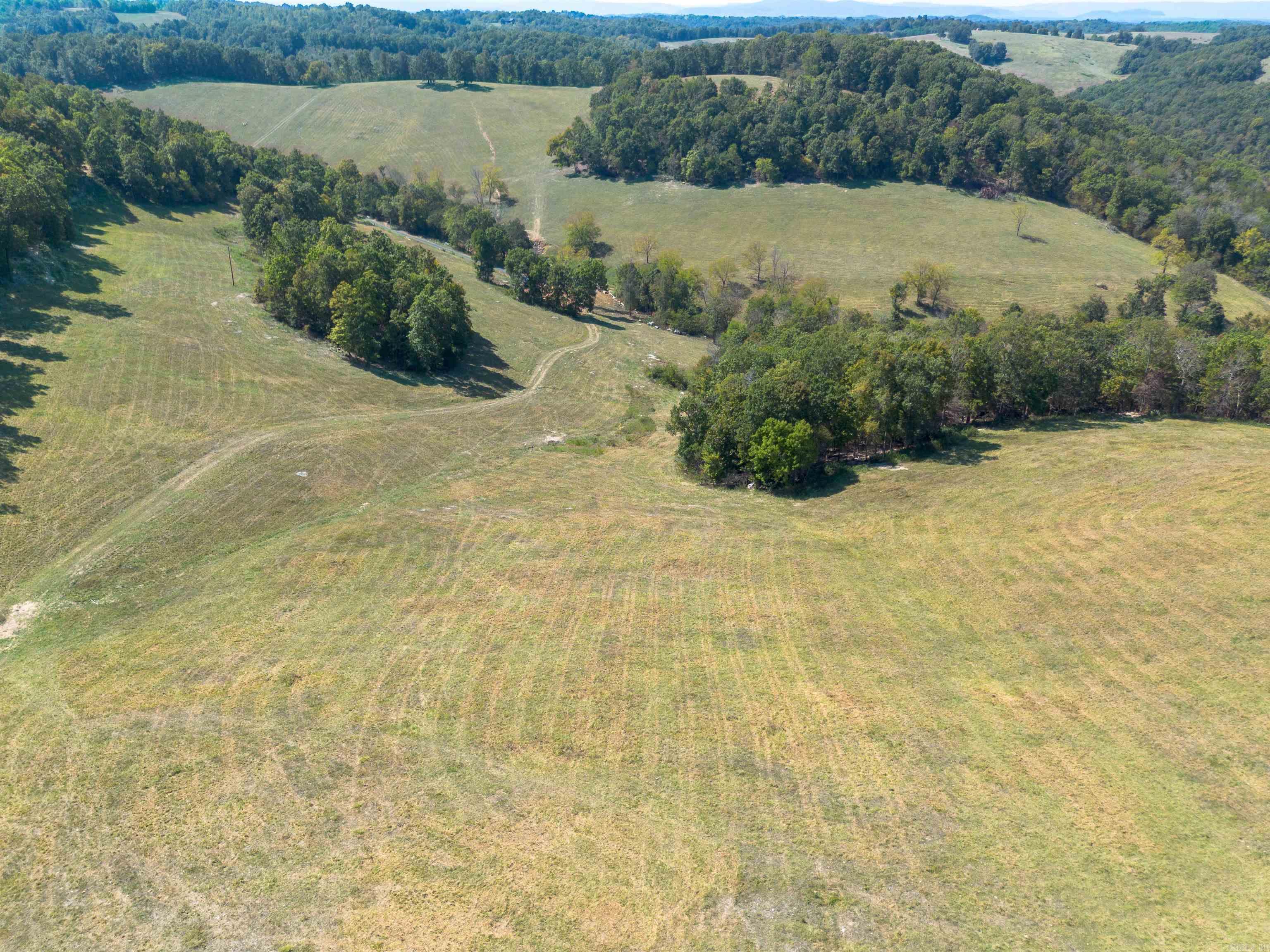 79.50 ac. (+/-) Crochet Road  Marshall, AR