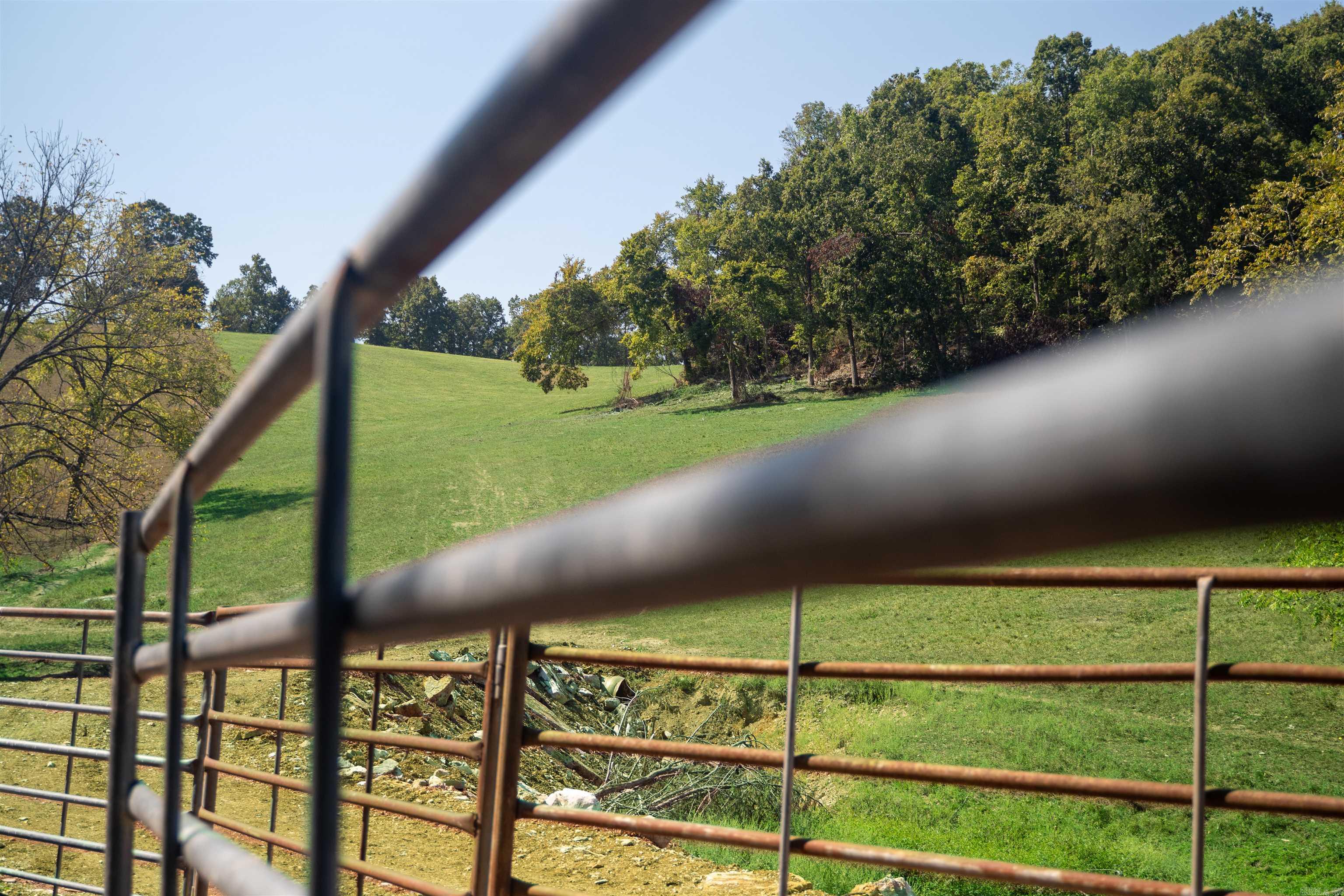 79.50 ac. (+/-) Crochet Road  Marshall, AR