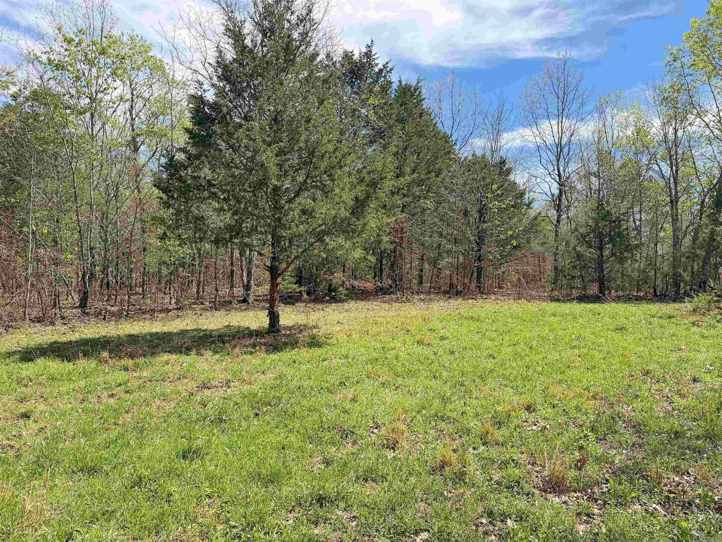 000 Sunnyland Rd.  Mountain View, AR