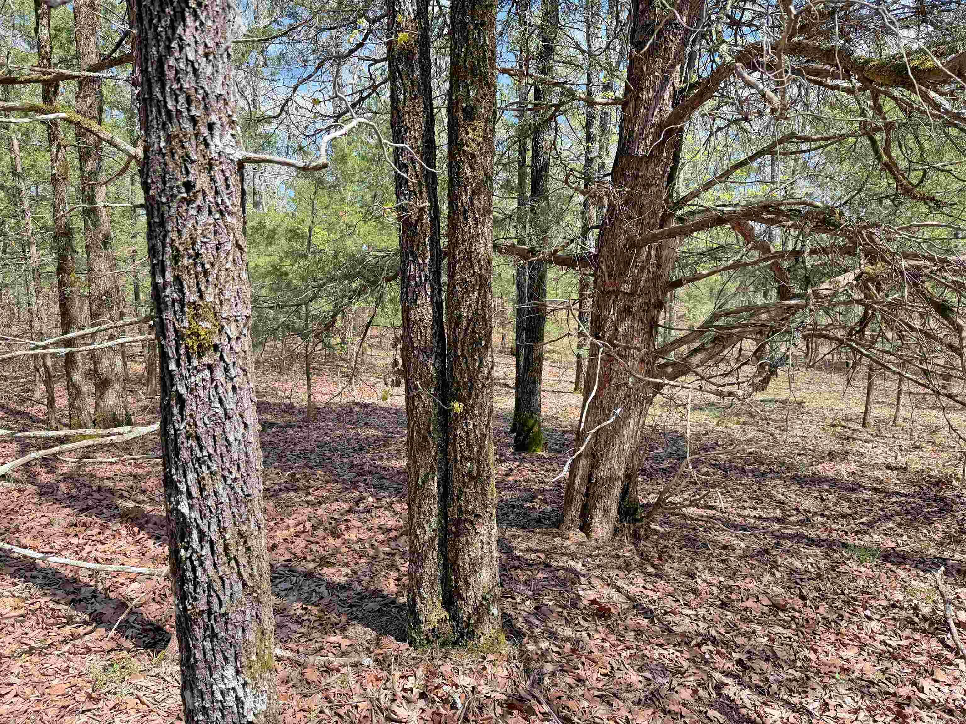 000 Sunnyland Rd.  Mountain View, AR