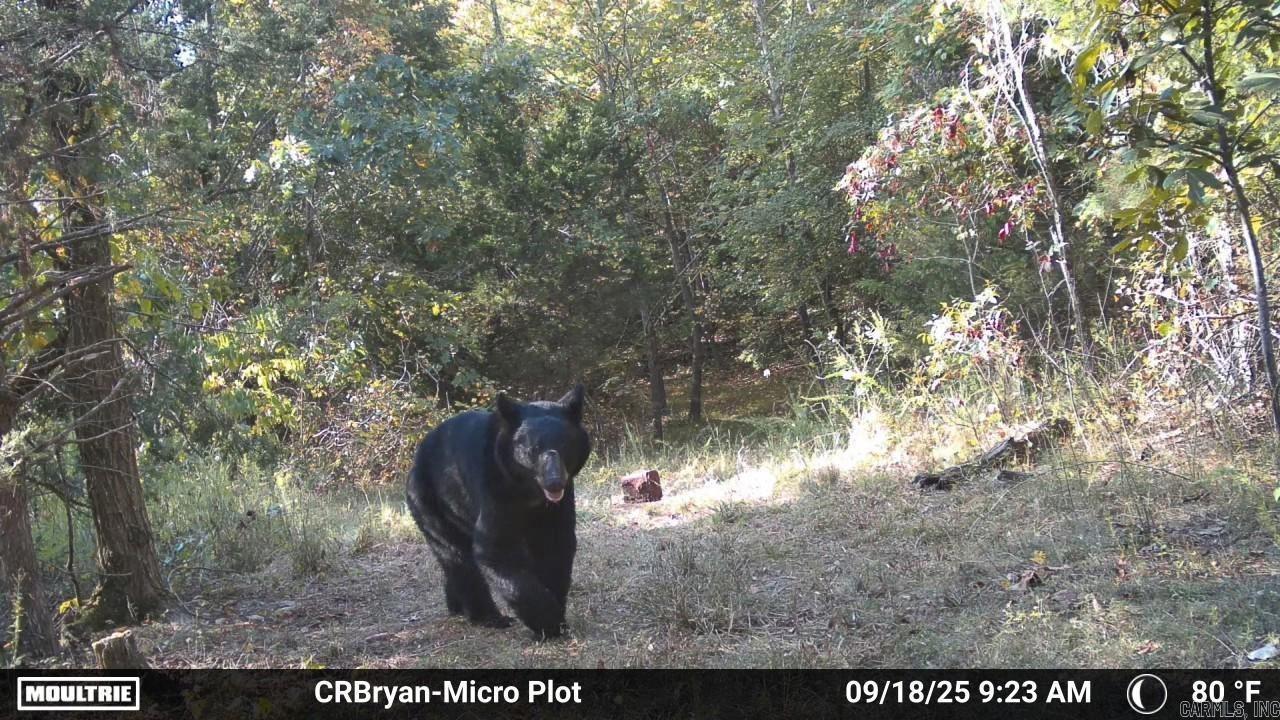 000 Sunnyland Rd.  Mountain View, AR