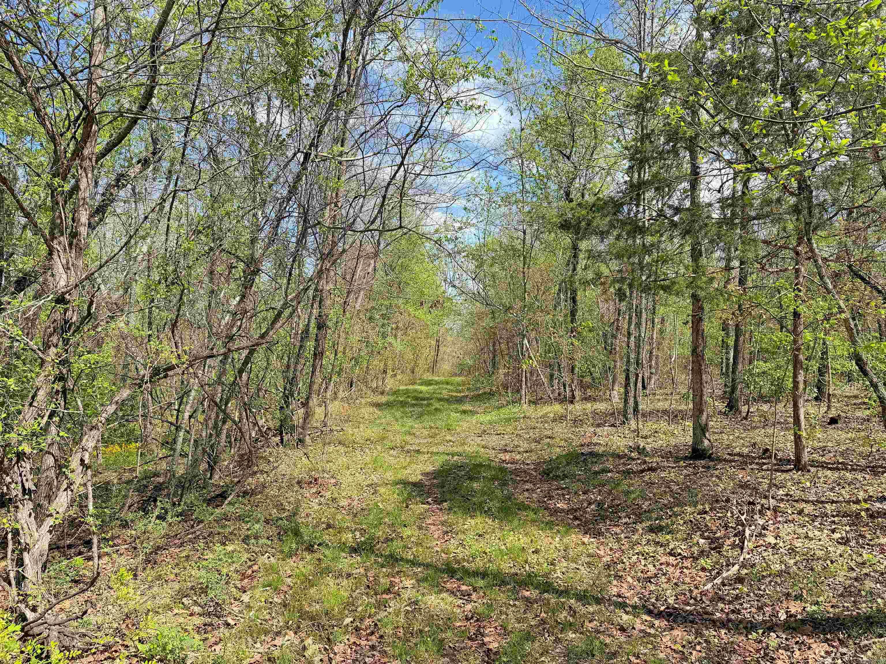 000 Sunnyland Rd.  Mountain View, AR