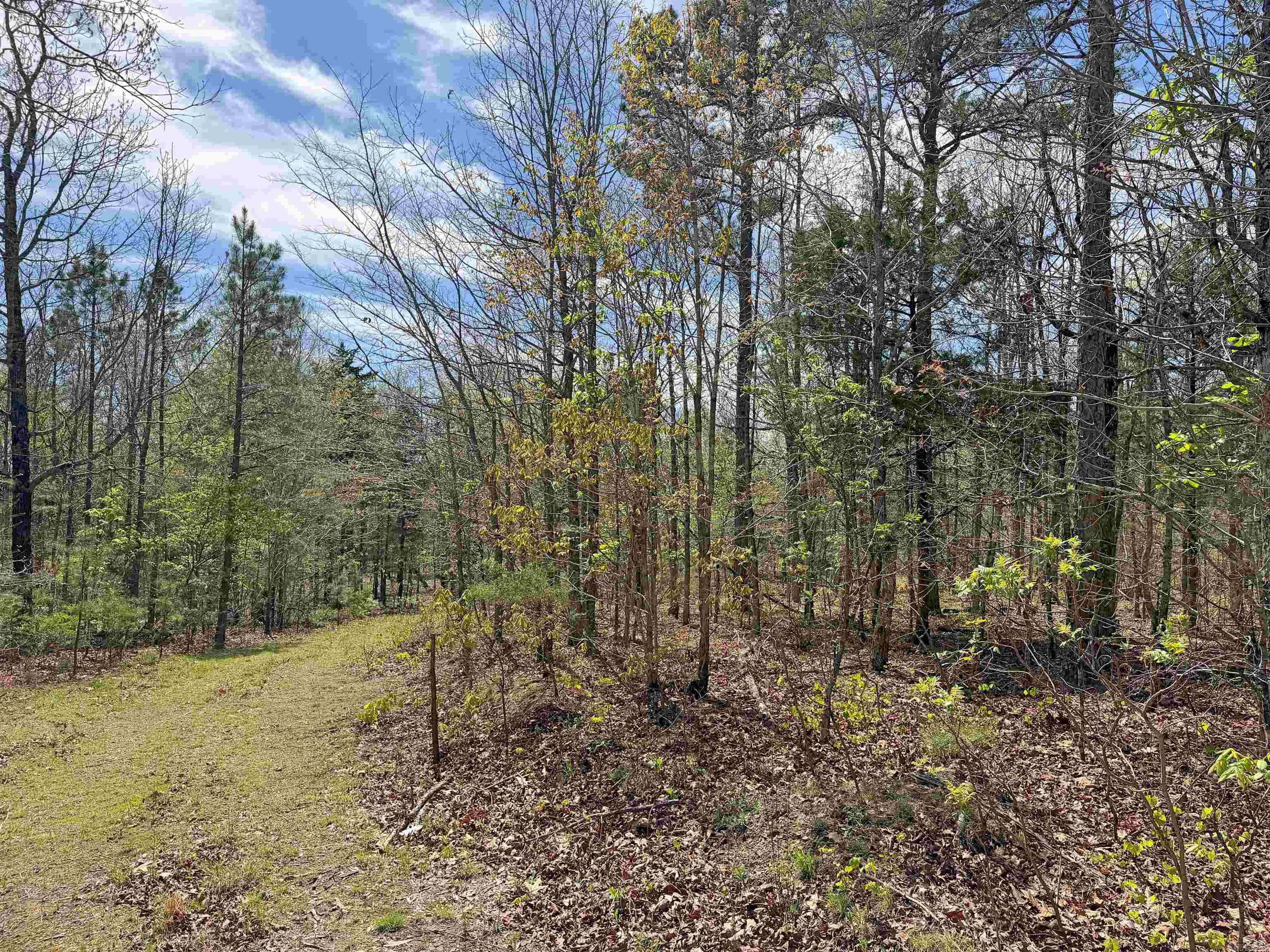 000 Sunnyland Rd.  Mountain View, AR