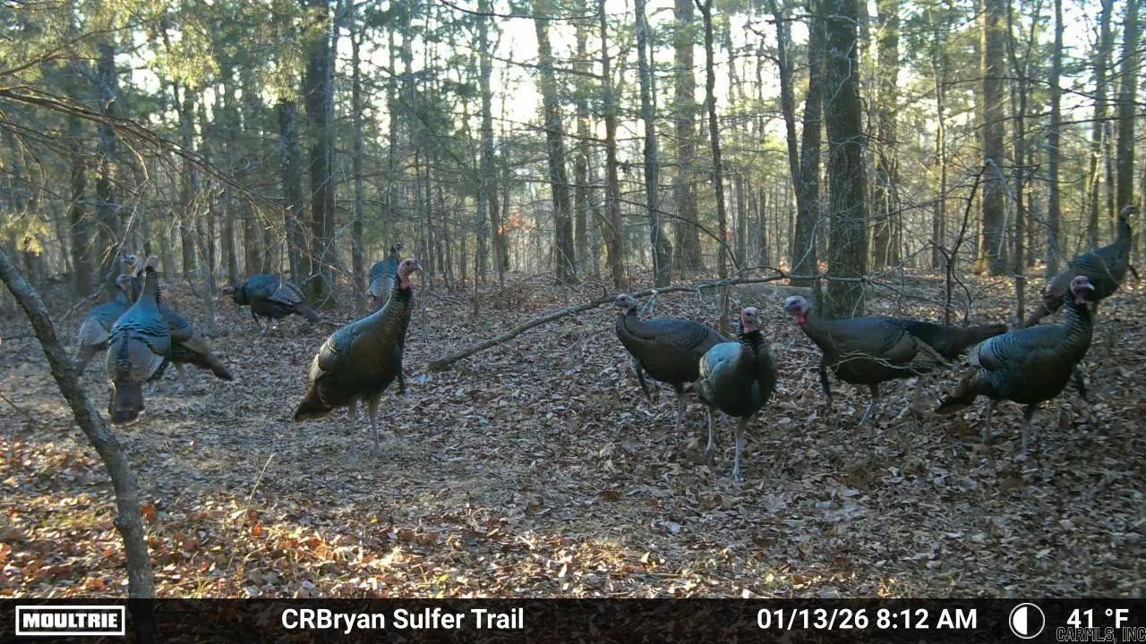 000 Sunnyland Rd.  Mountain View, AR