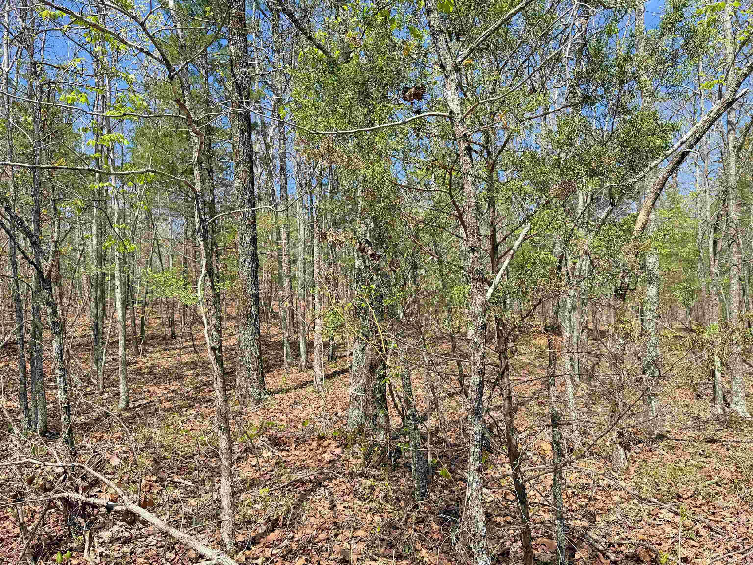 000 Sunnyland Rd.  Mountain View, AR