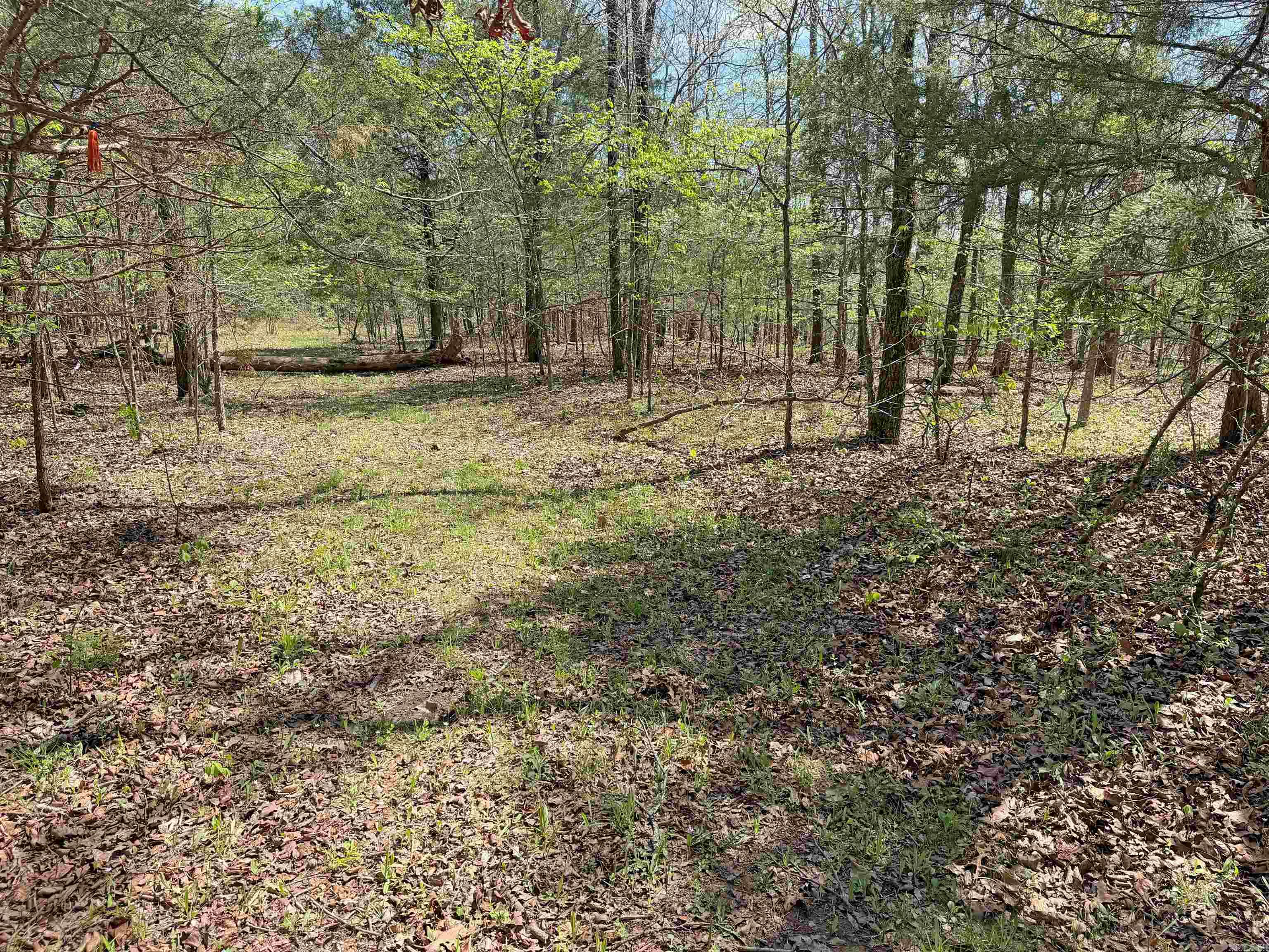 000 Sunnyland Rd.  Mountain View, AR