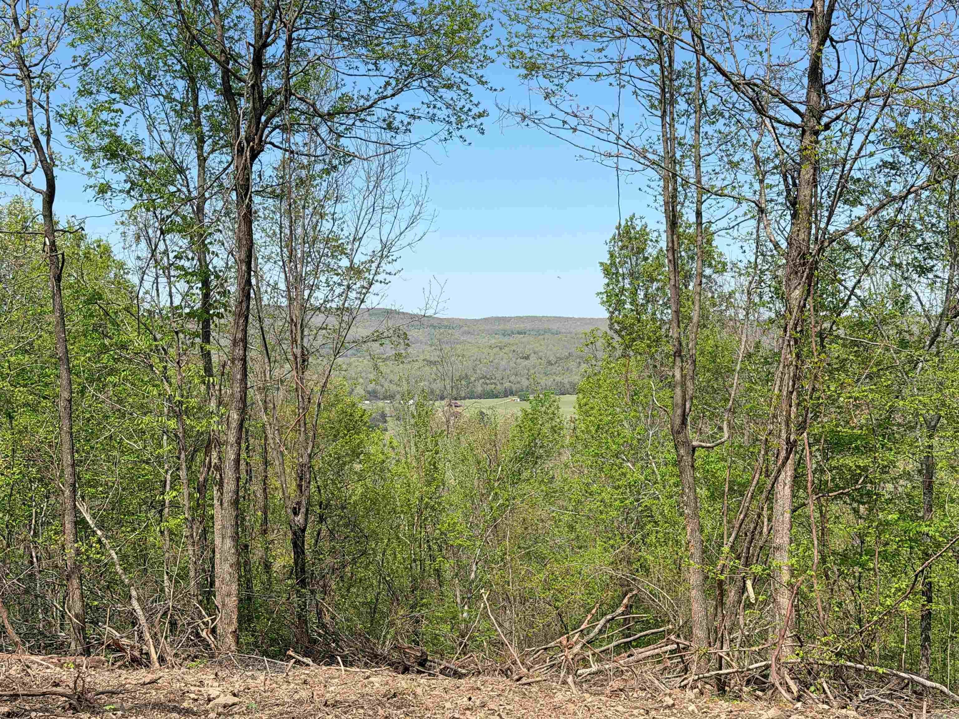 000 Sunnyland Rd.  Mountain View, AR