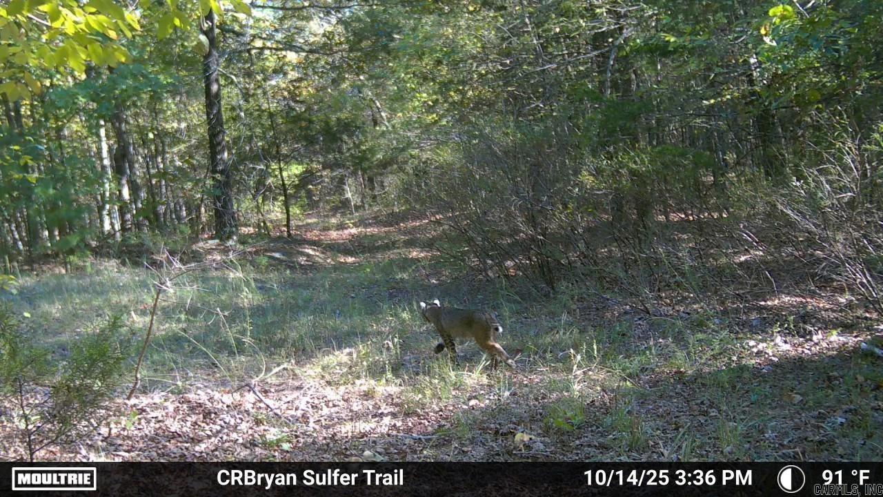 000 Sunnyland Rd.  Mountain View, AR