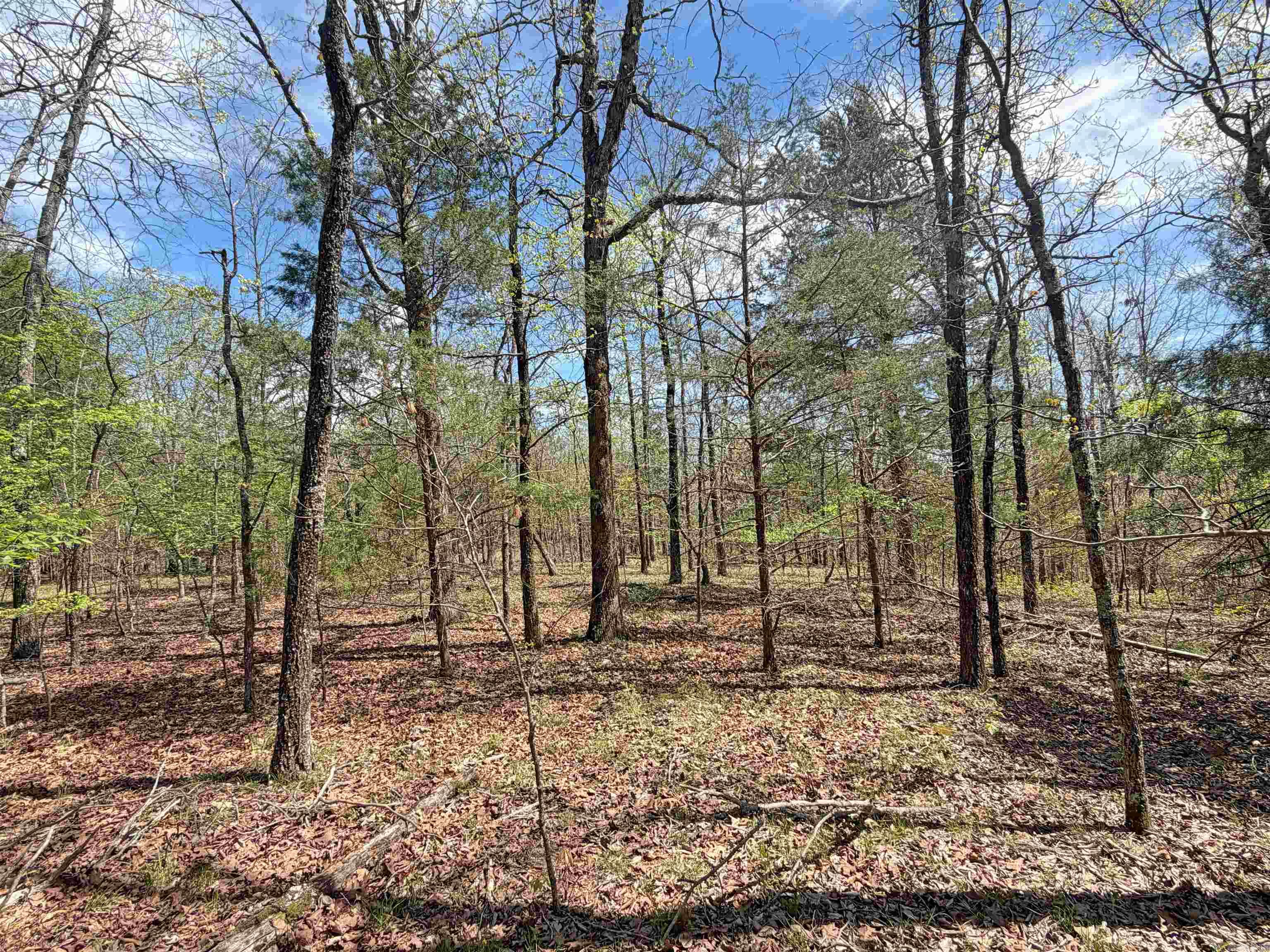 000 Sunnyland Rd.  Mountain View, AR