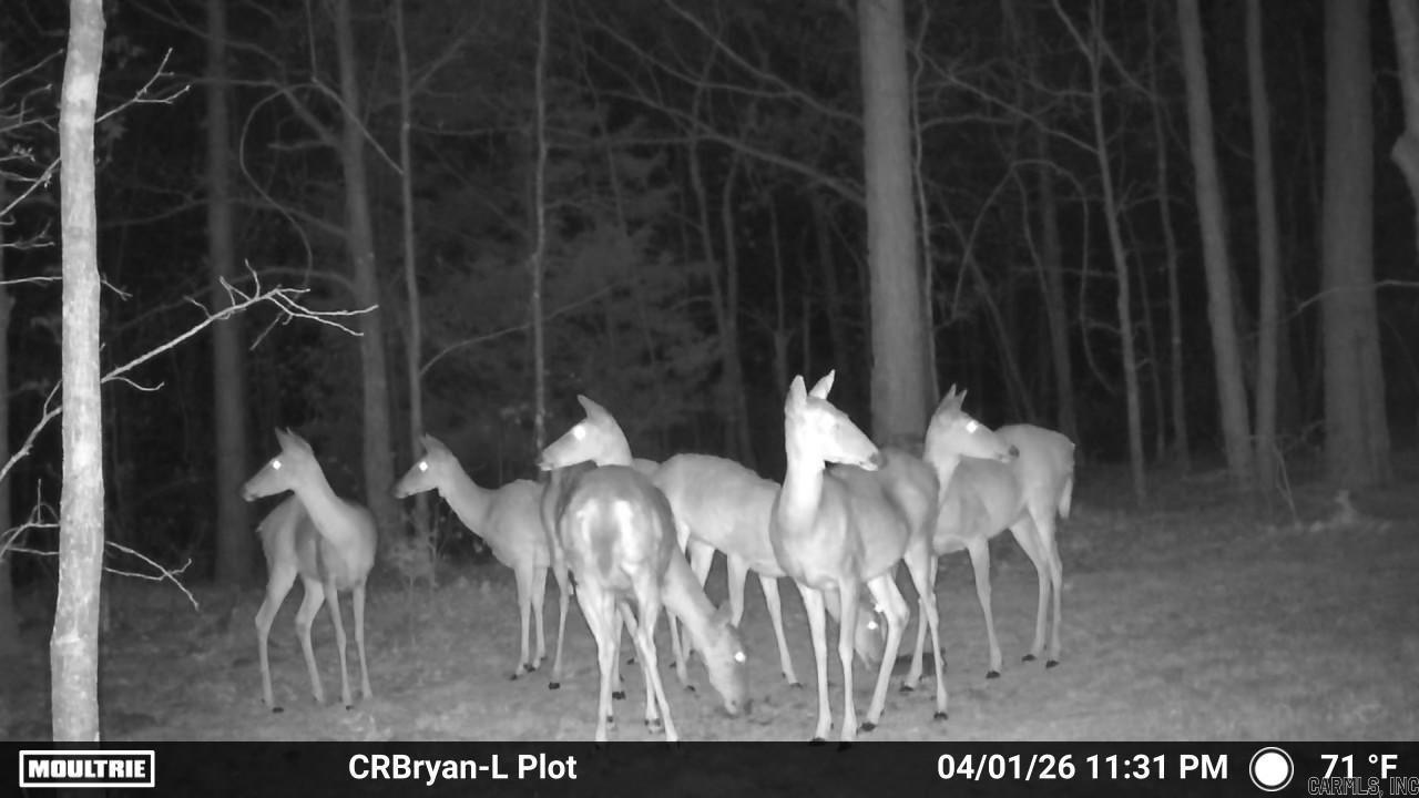 000 Sunnyland Rd.  Mountain View, AR