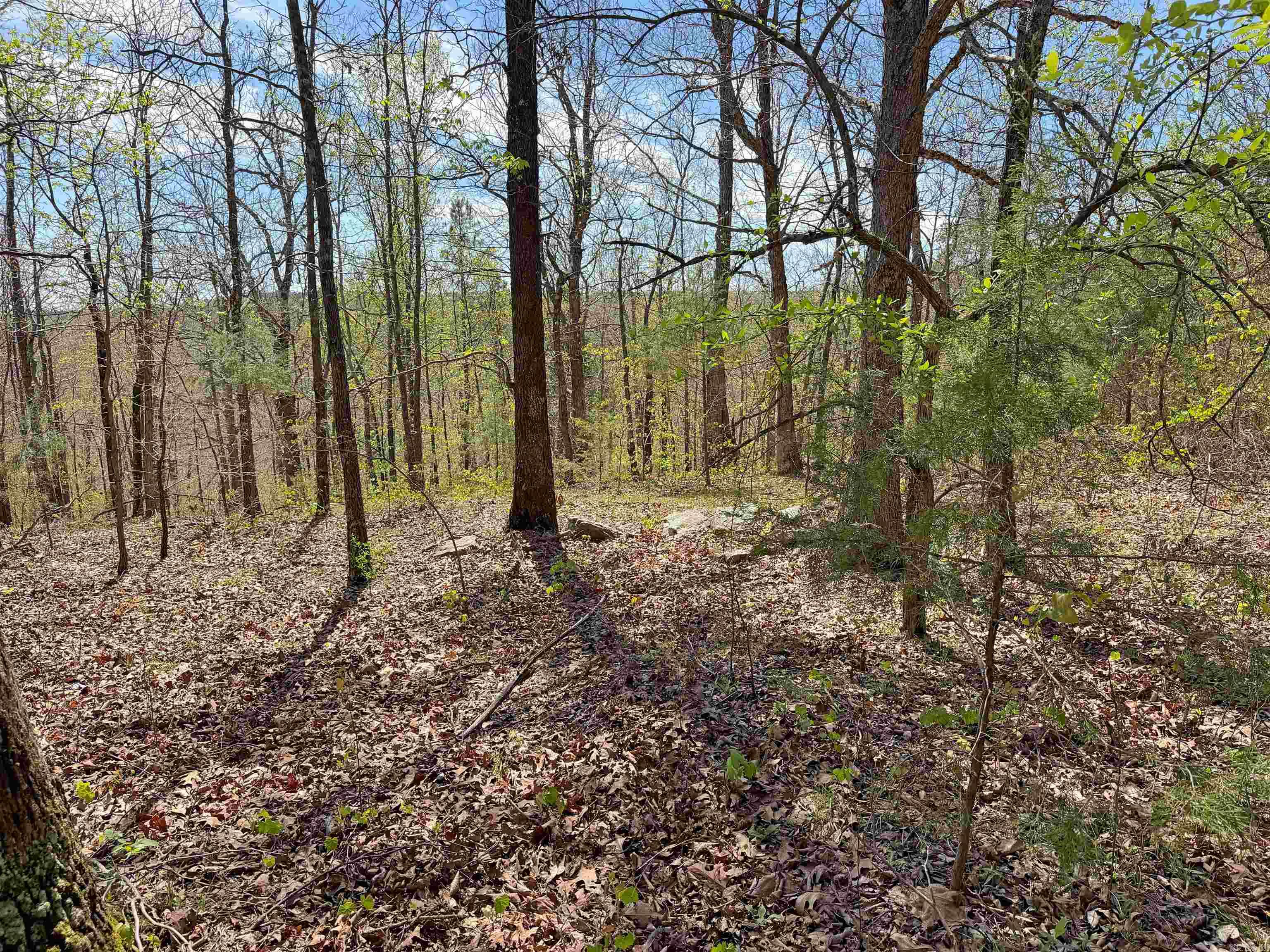 000 Sunnyland Rd.  Mountain View, AR