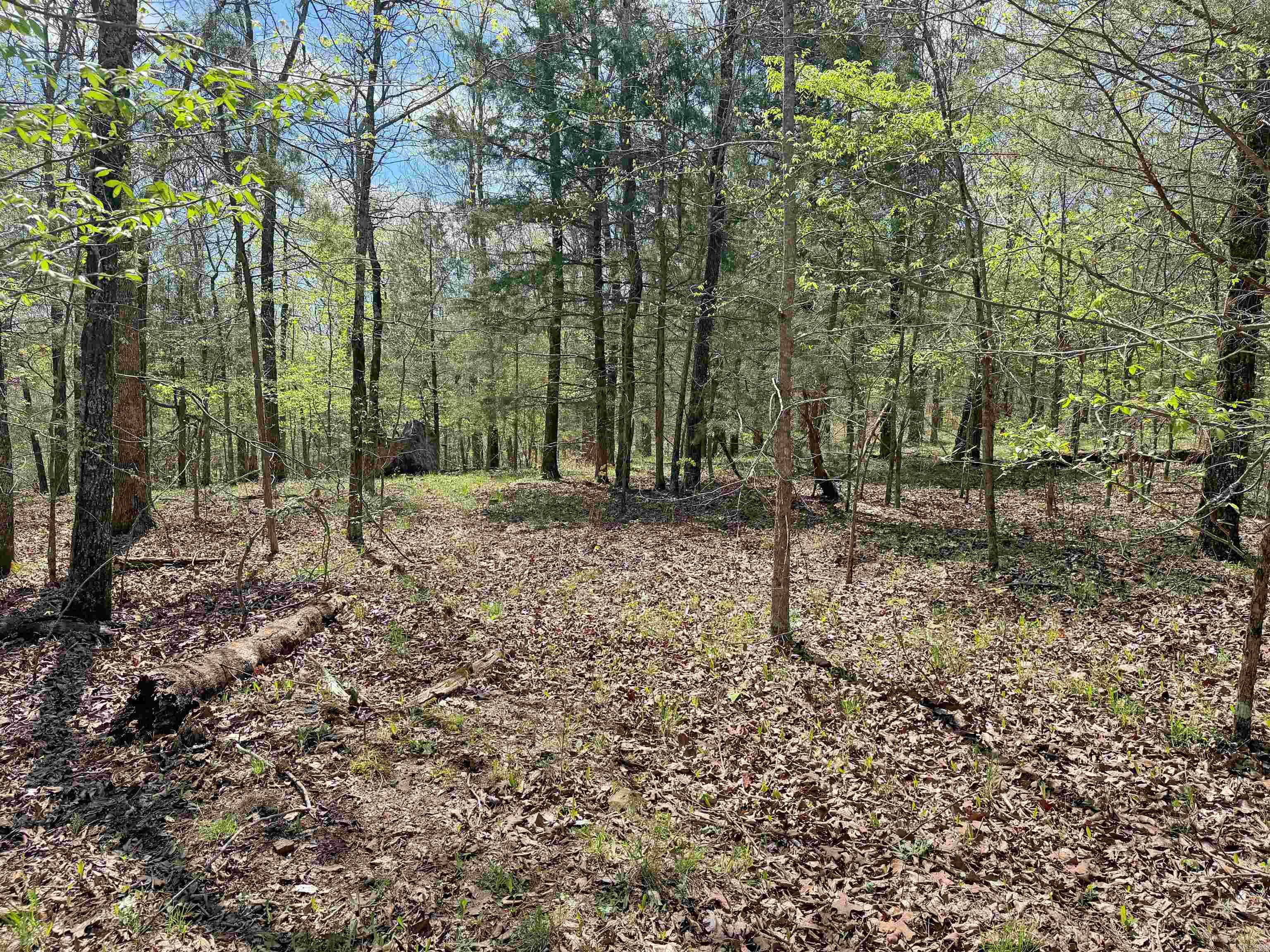 000 Sunnyland Rd.  Mountain View, AR