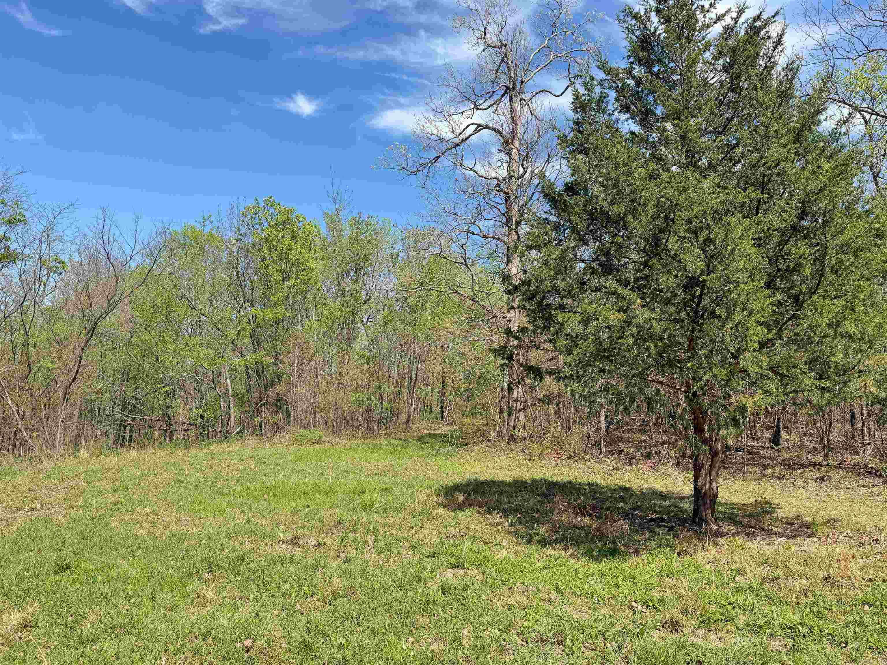 000 Sunnyland Rd.  Mountain View, AR