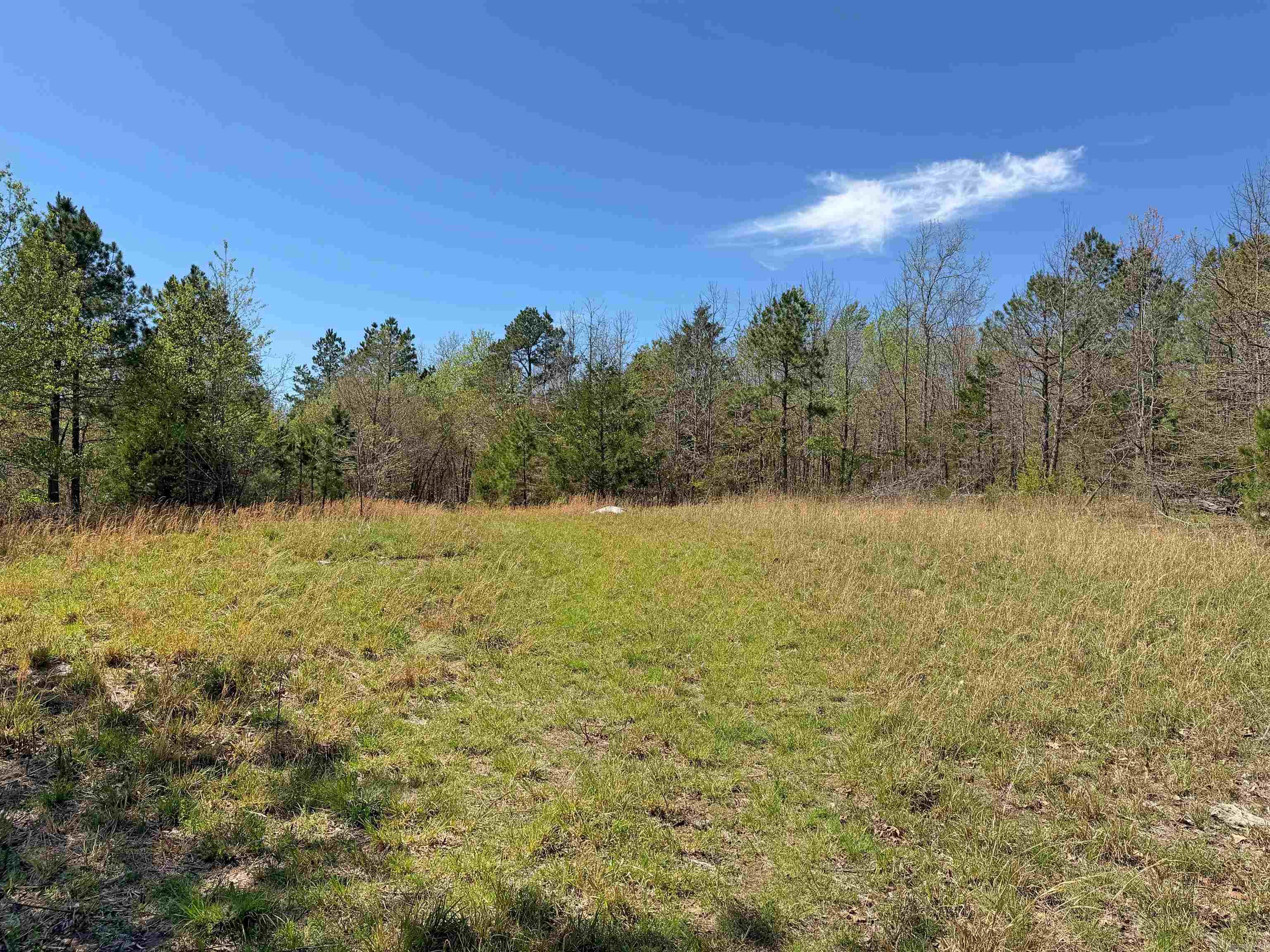 000 Sunnyland Rd.  Mountain View, AR