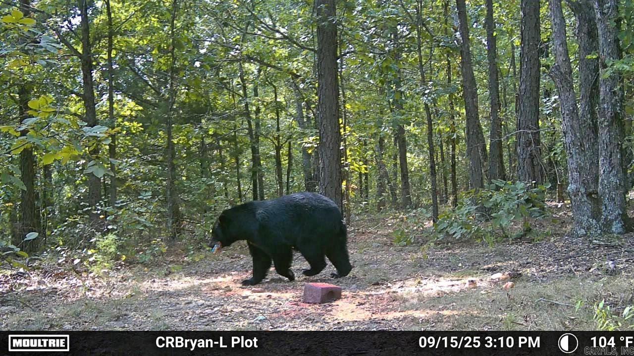 000 Sunnyland Rd.  Mountain View, AR