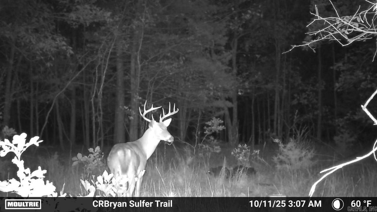 000 Sunnyland Rd.  Mountain View, AR