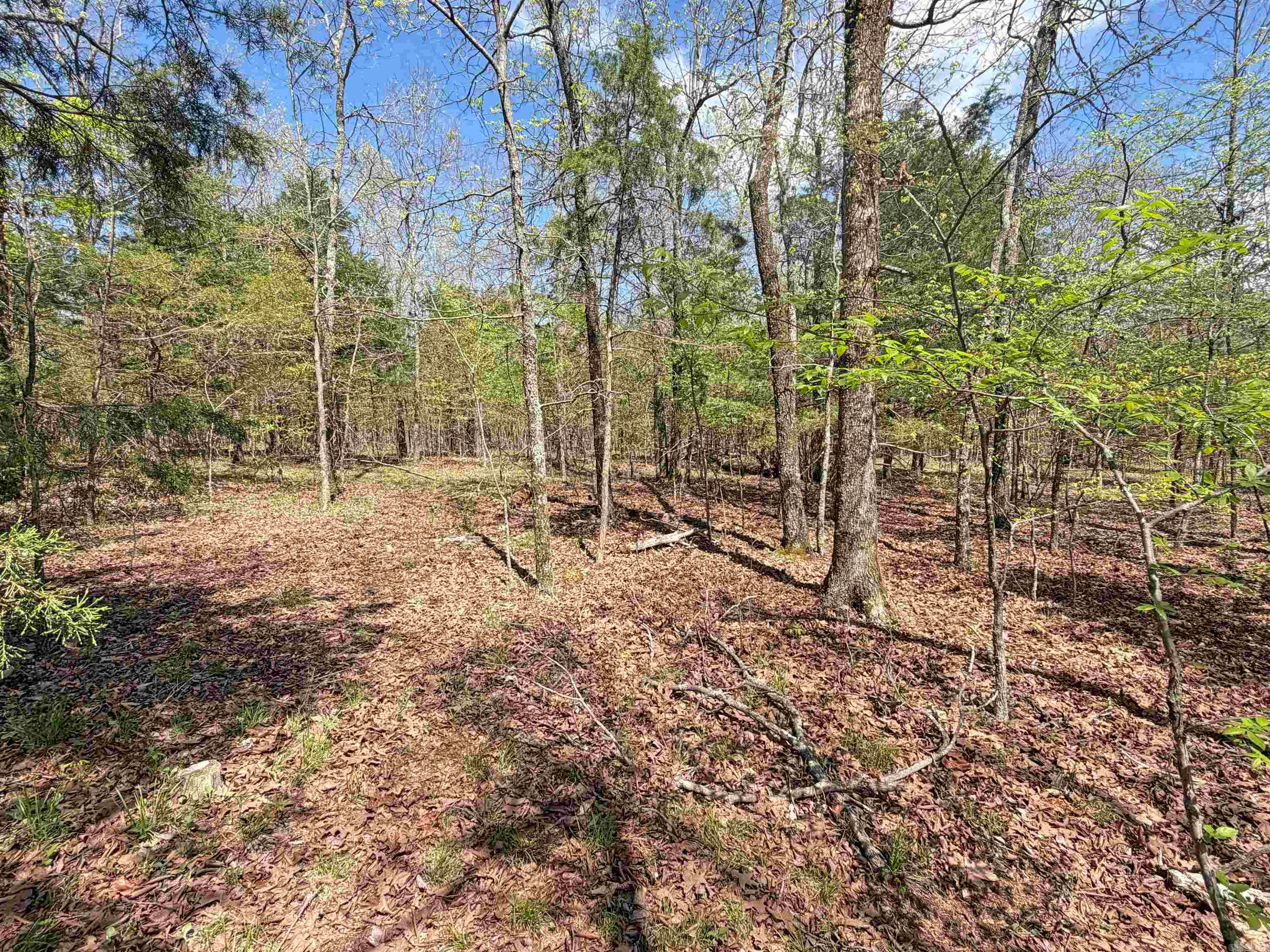 000 Sunnyland Rd.  Mountain View, AR