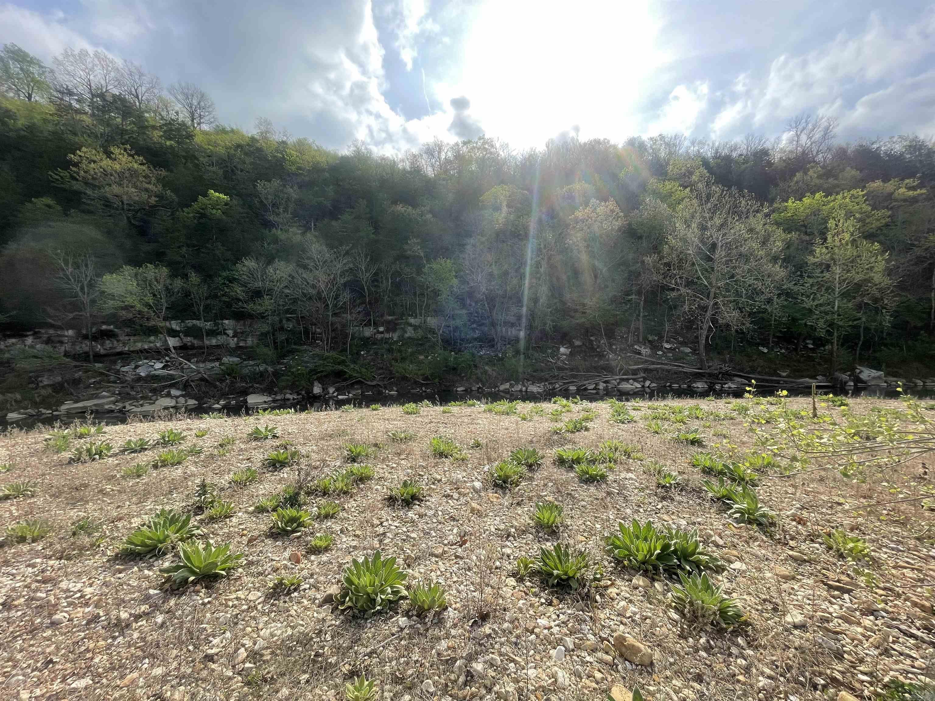 000 Peace Mountain road  Mountain View, AR