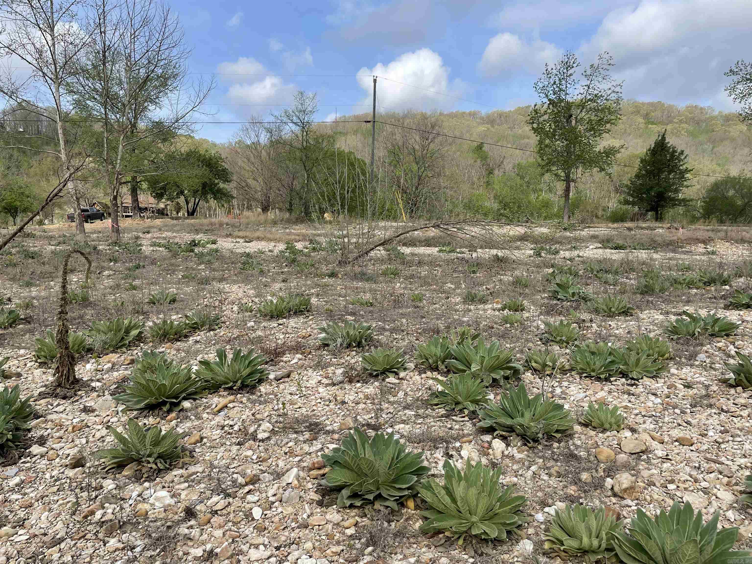 000 Peace Mountain road  Mountain View, AR