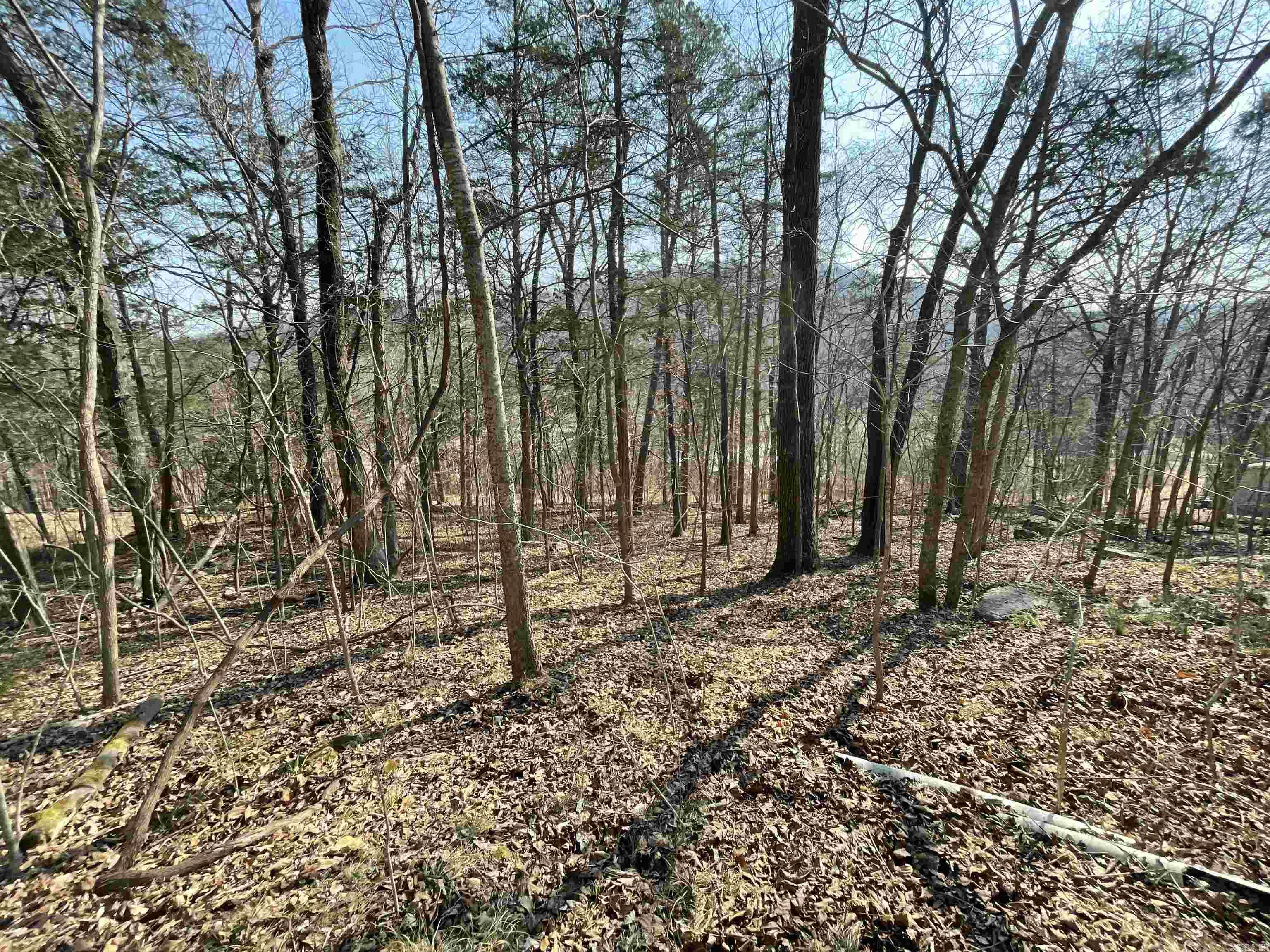 000 Peace Mountain road  Mountain View, AR