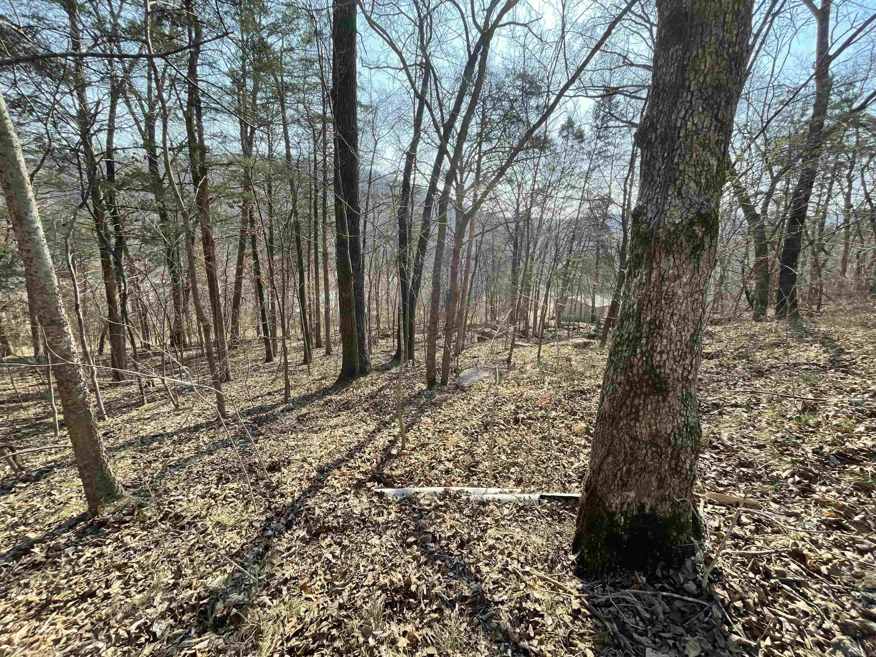 000 Peace Mountain road  Mountain View, AR