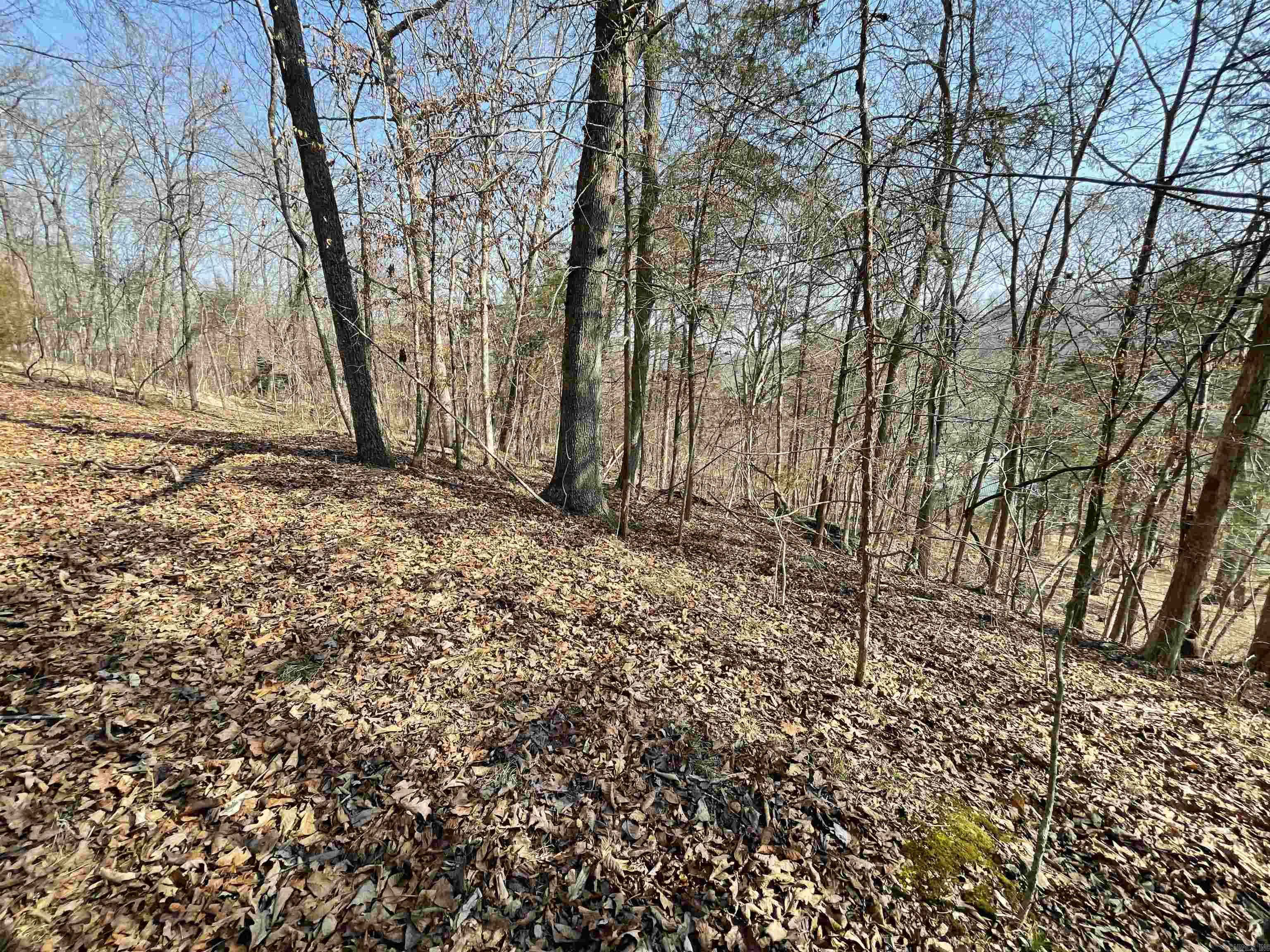 000 Peace Mountain road  Mountain View, AR