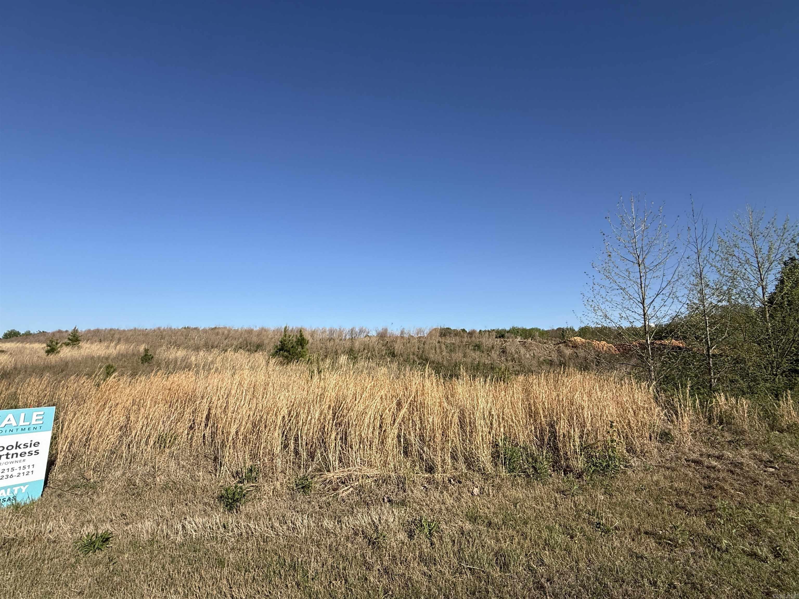 12.98 AC Chateau Blvd  Paragould, AR