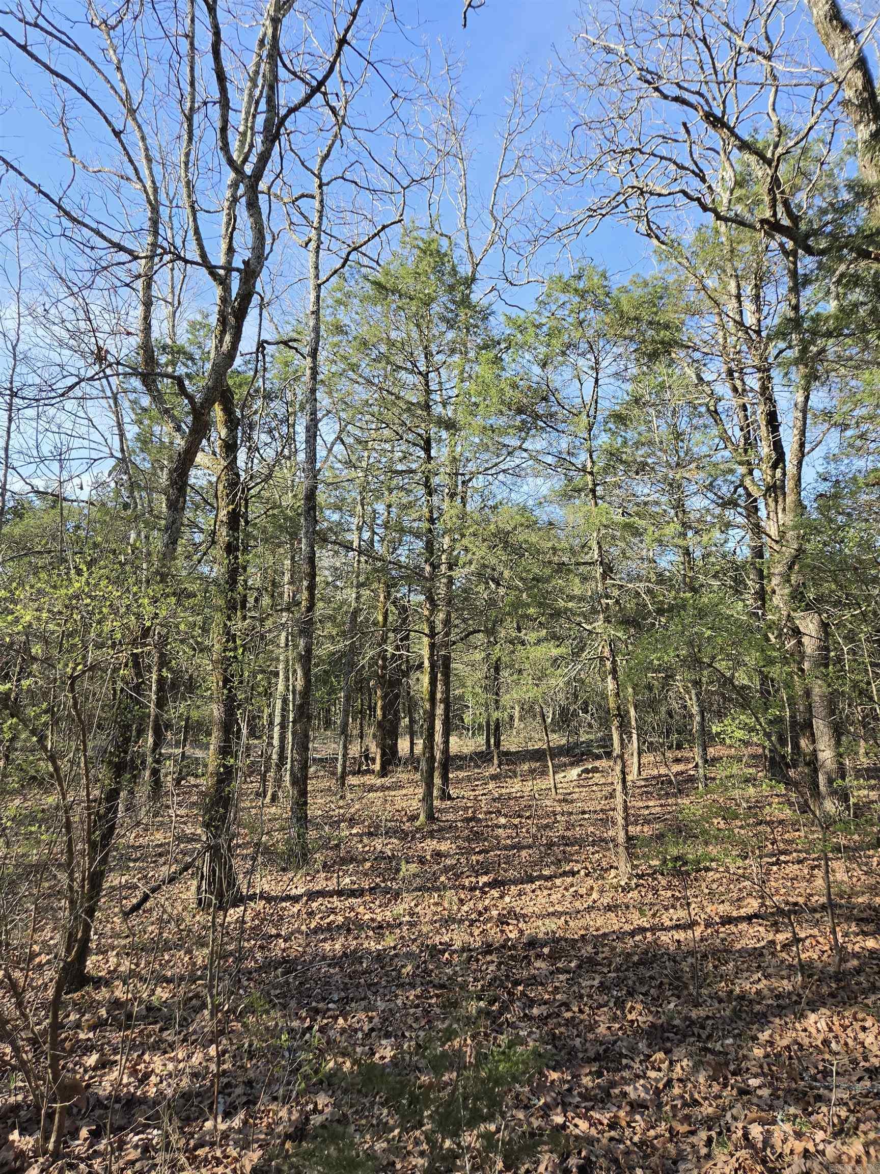 2008 JACKSON 5  Bradford, AR