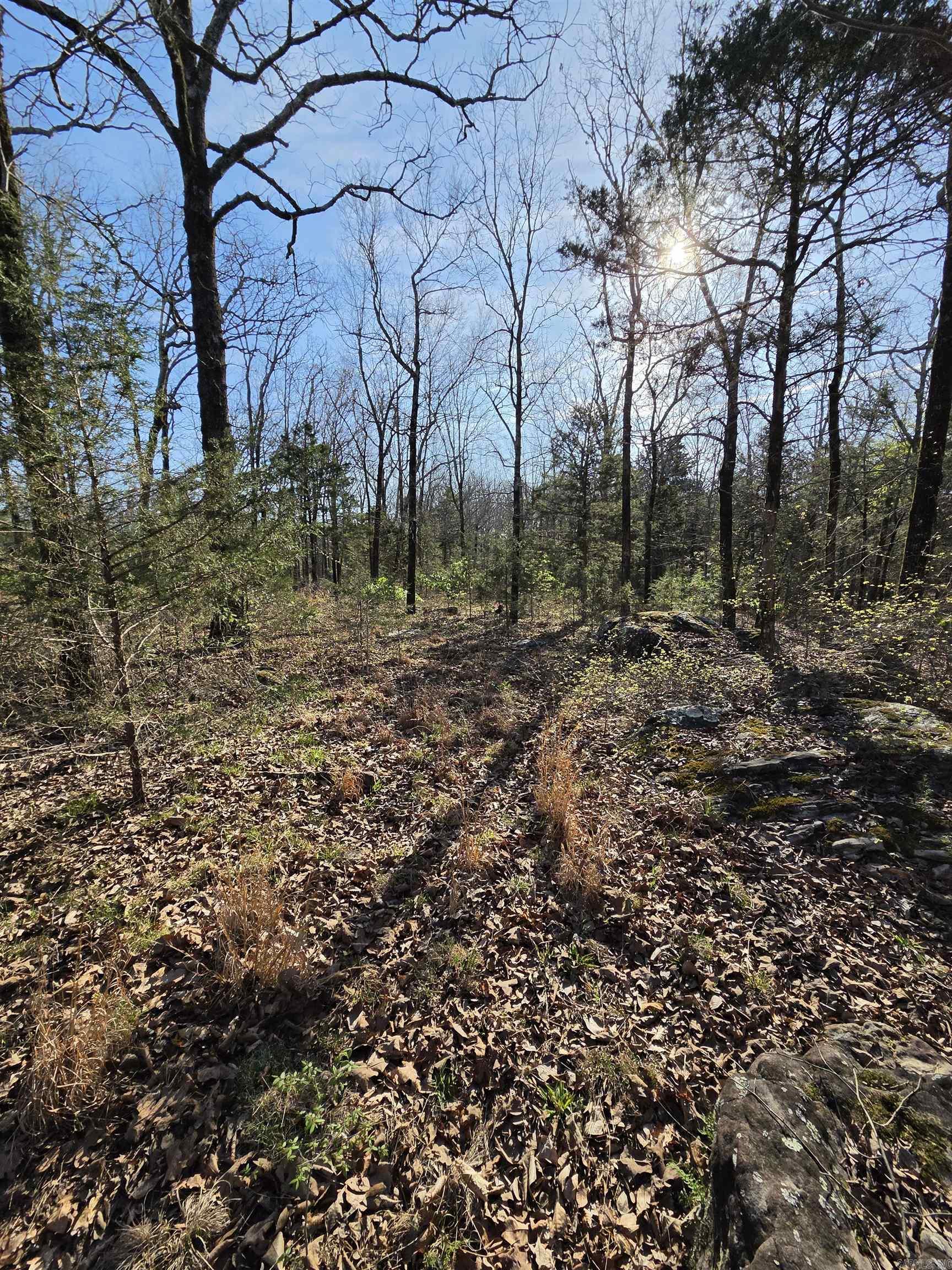 2008 JACKSON 5  Bradford, AR