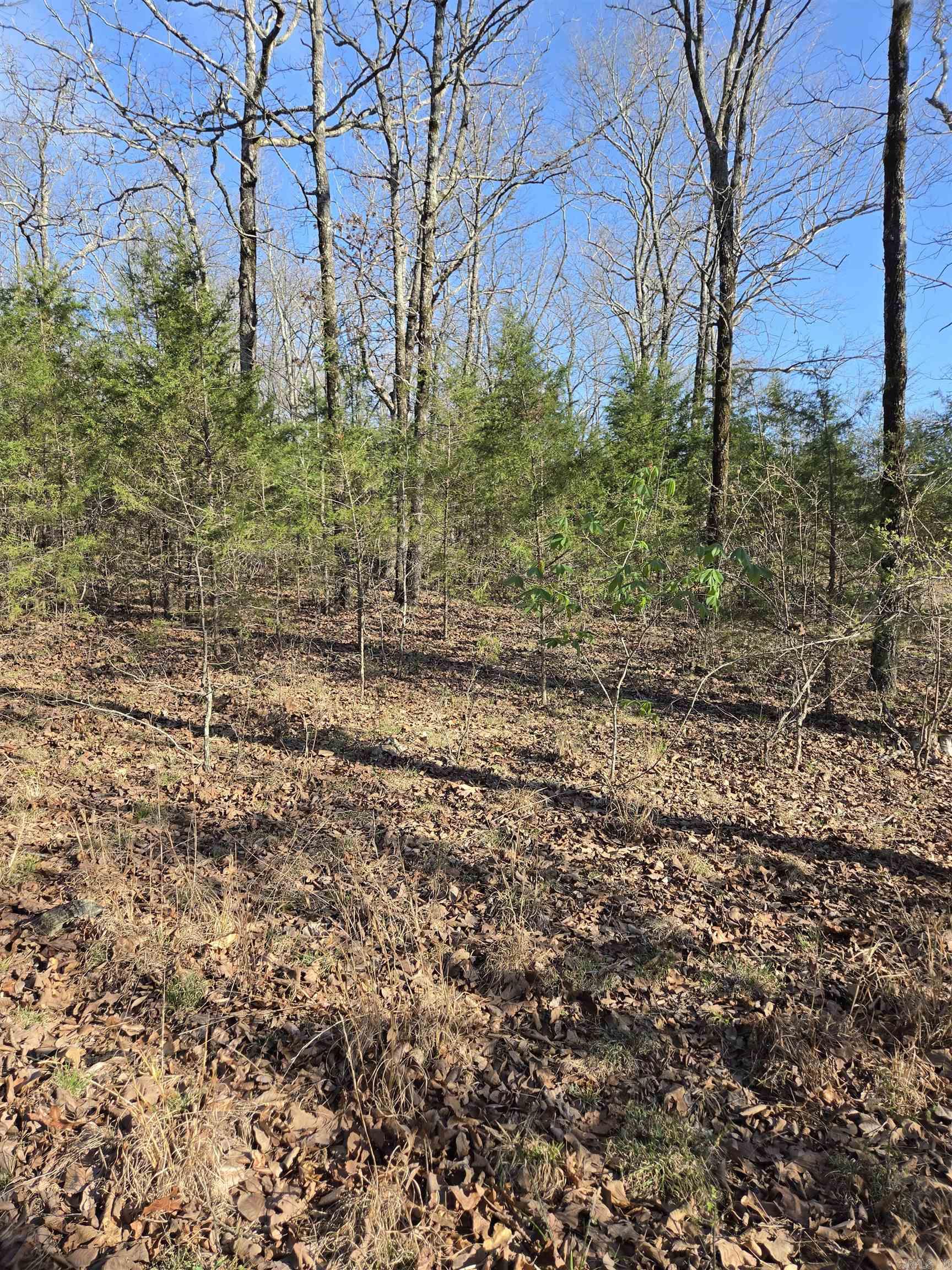 2008 JACKSON 5  Bradford, AR