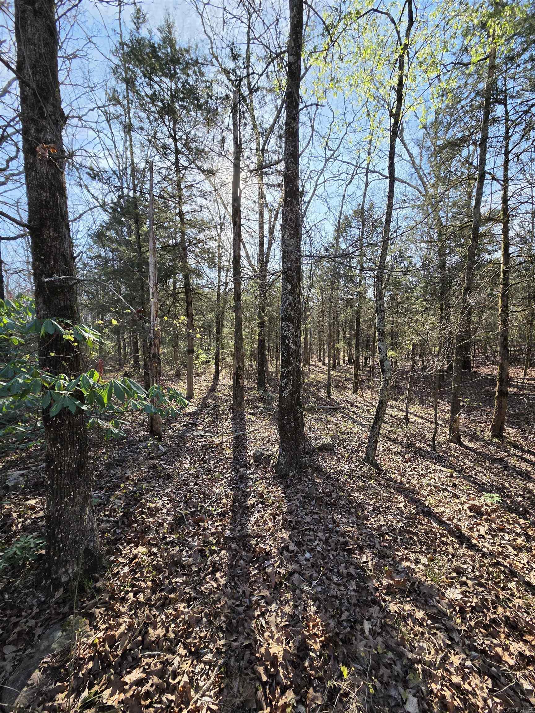 2008 JACKSON 5  Bradford, AR