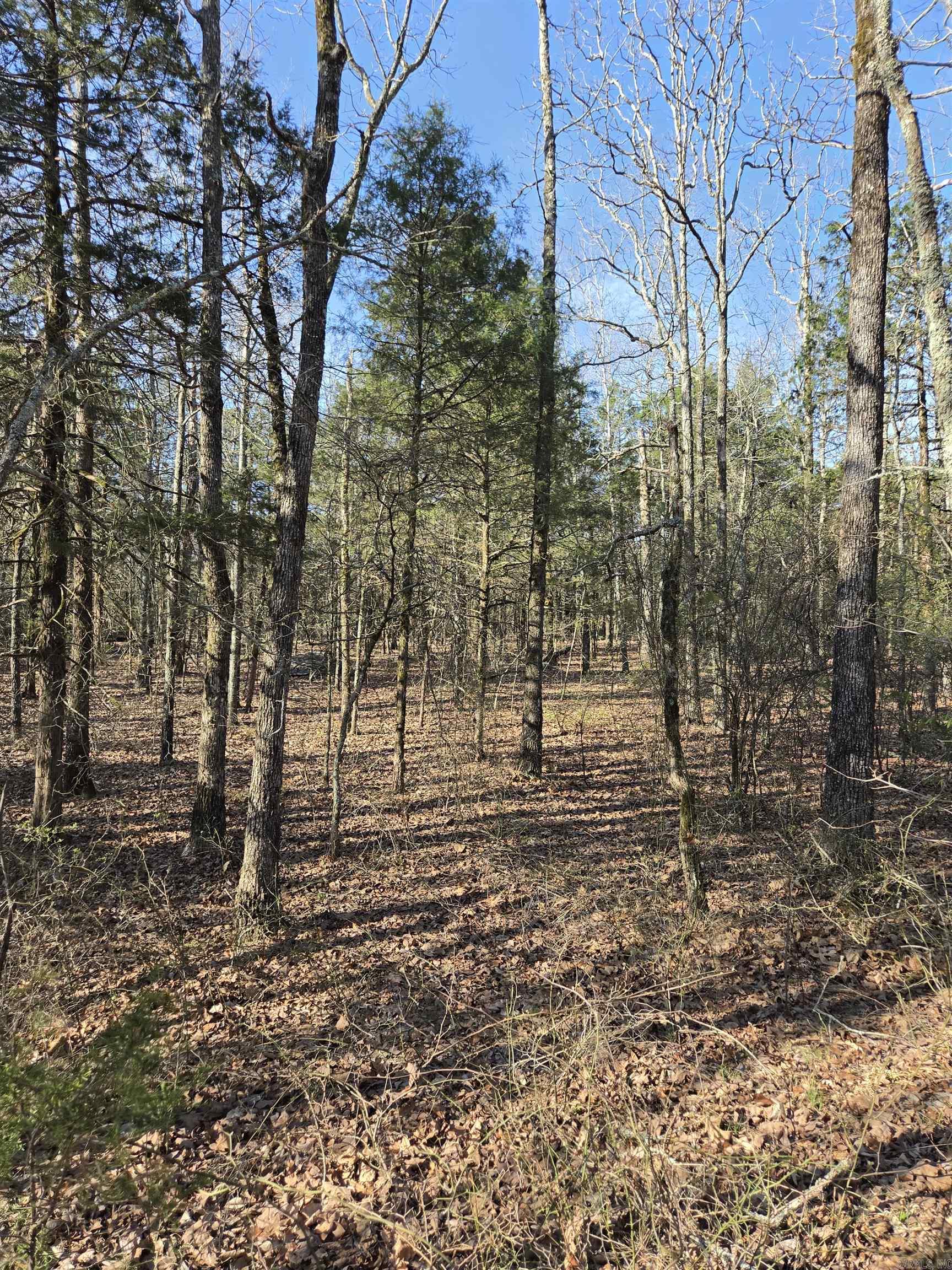 2008 JACKSON 5  Bradford, AR