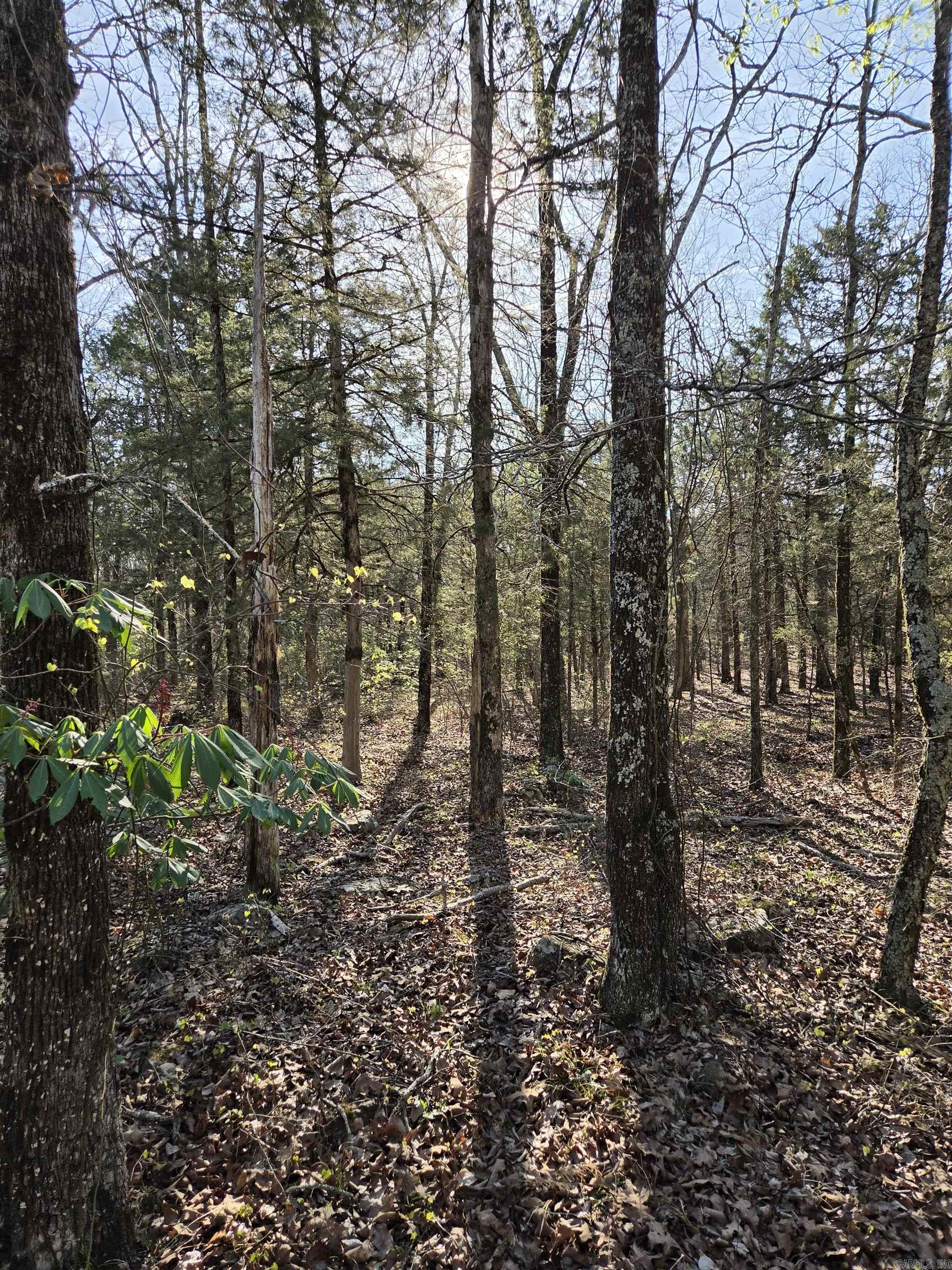 2008 JACKSON 5  Bradford, AR