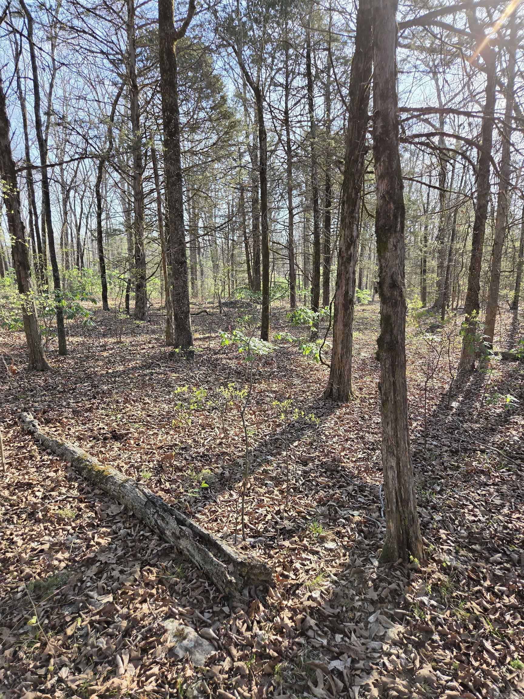 2008 JACKSON 5  Bradford, AR