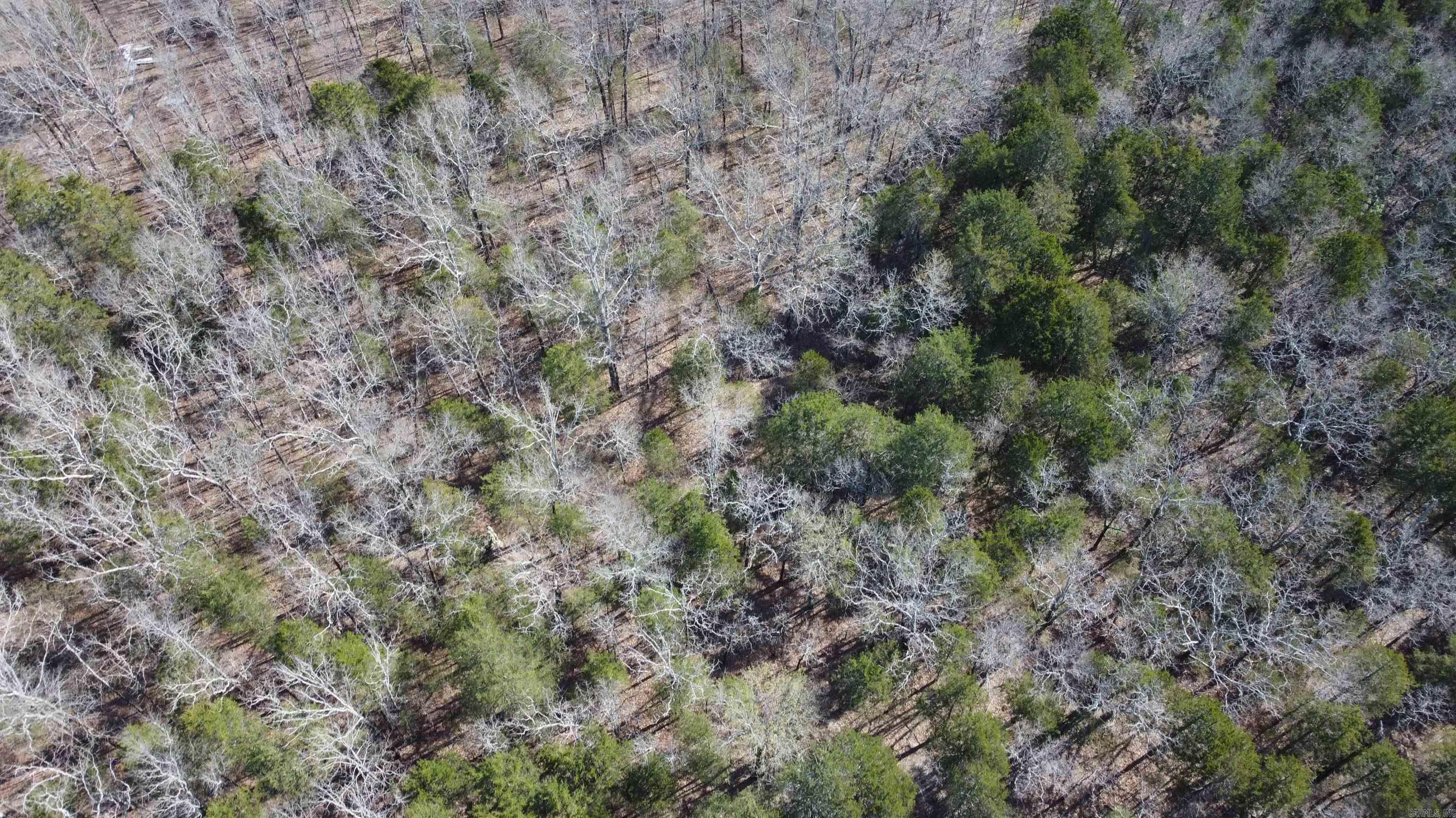 2008 JACKSON 5  Bradford, AR