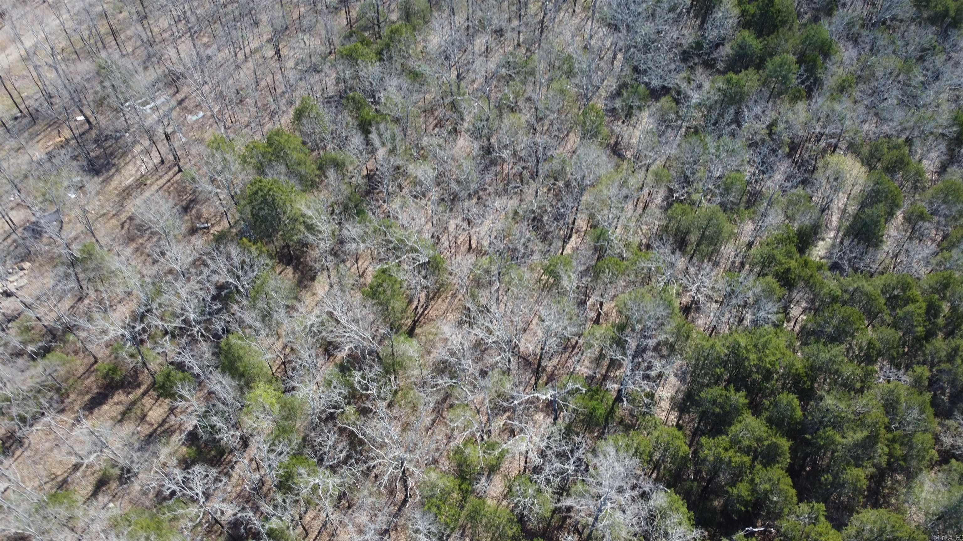 2008 JACKSON 5  Bradford, AR