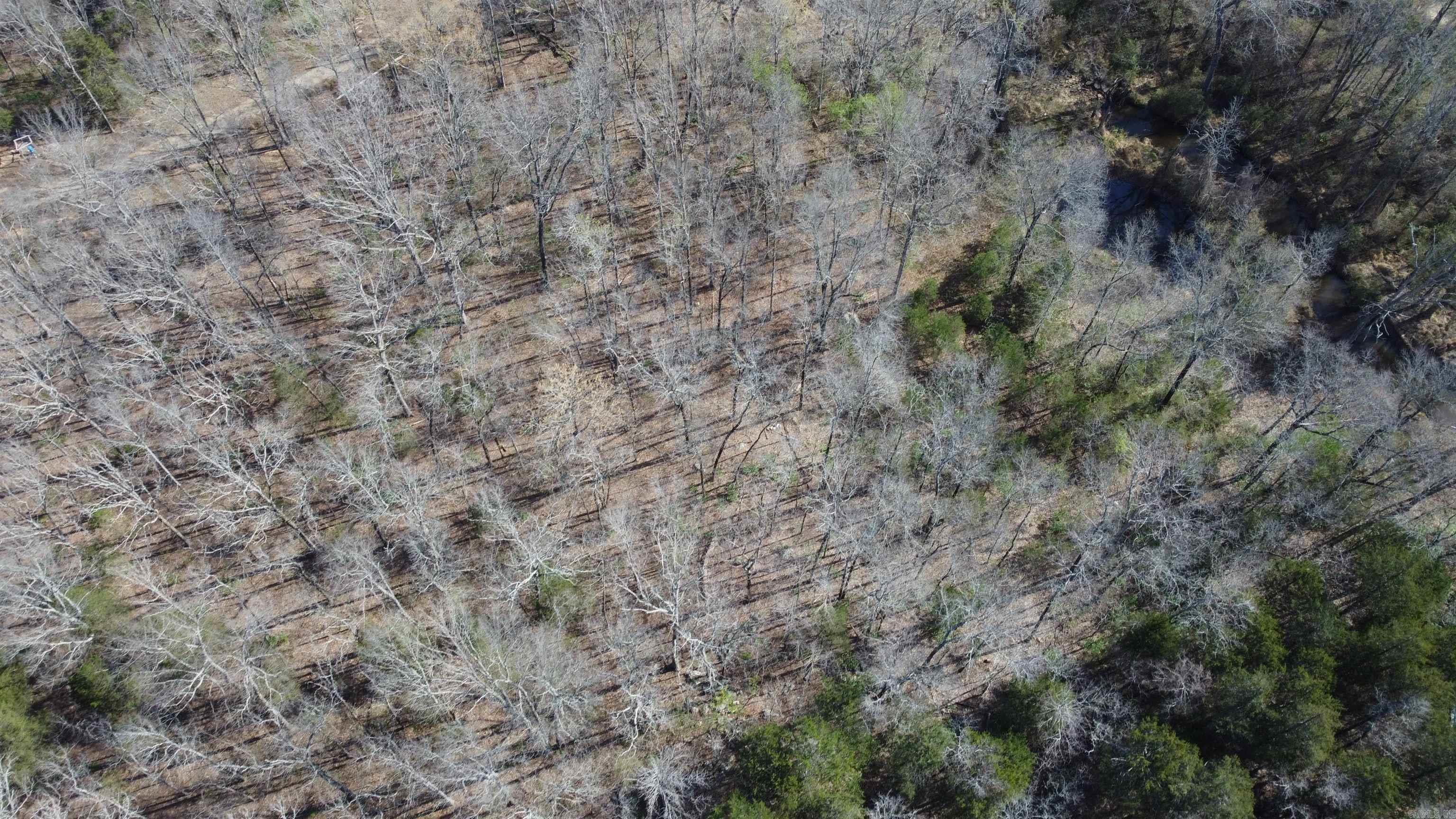 2008 JACKSON 5  Bradford, AR