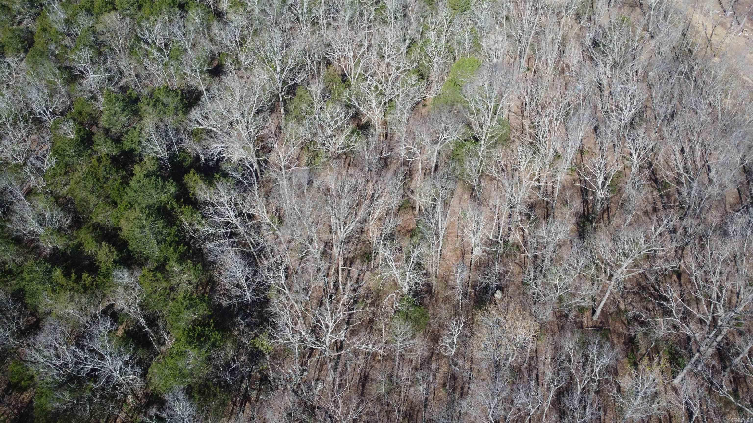 2008 JACKSON 5  Bradford, AR